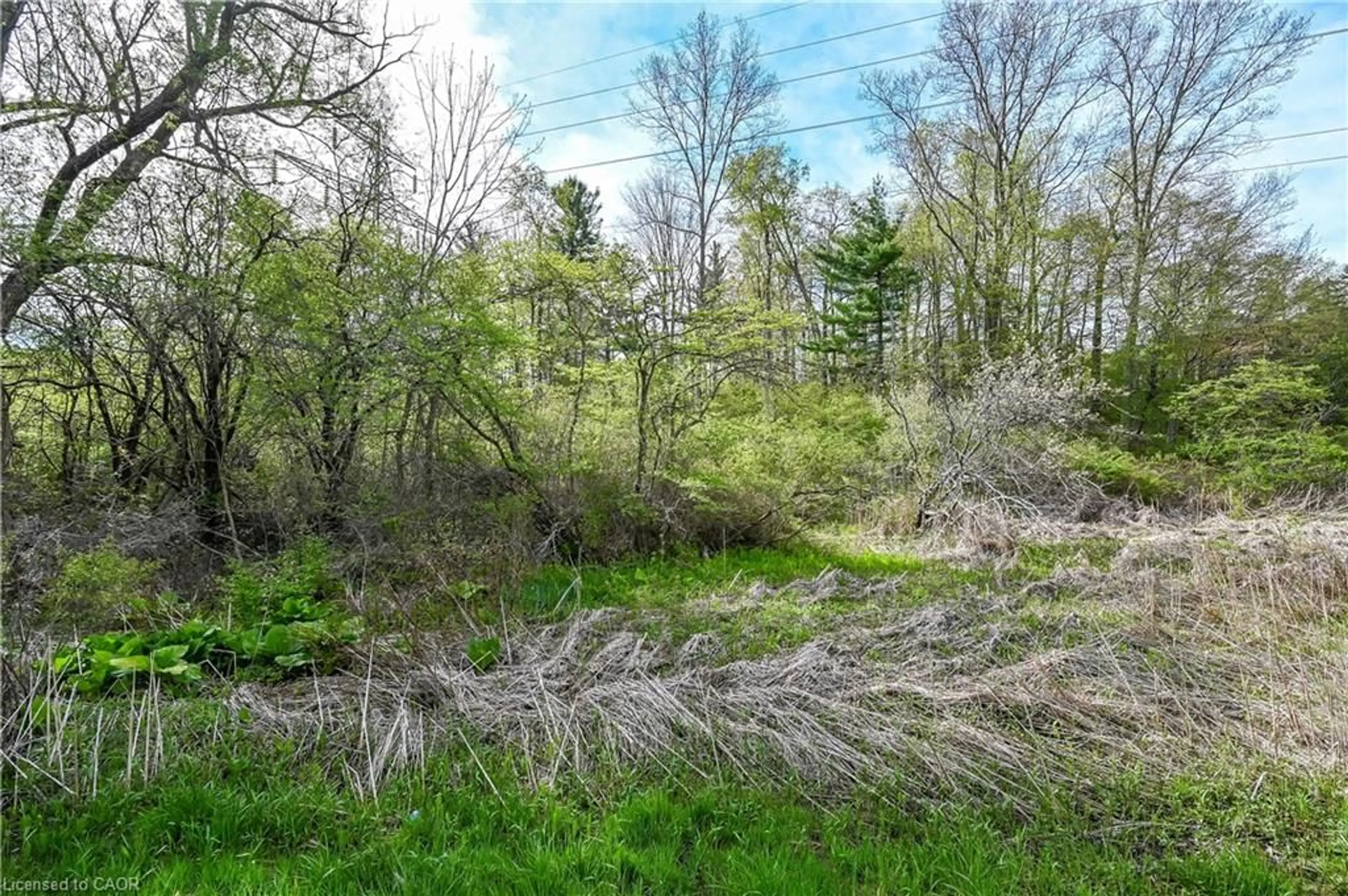 A pic from outside/outdoor area/front of a property/back of a property/a pic from drone, forest/trees view for 0 Mineral Springs Rd, Ancaster Ontario L9H 5E3