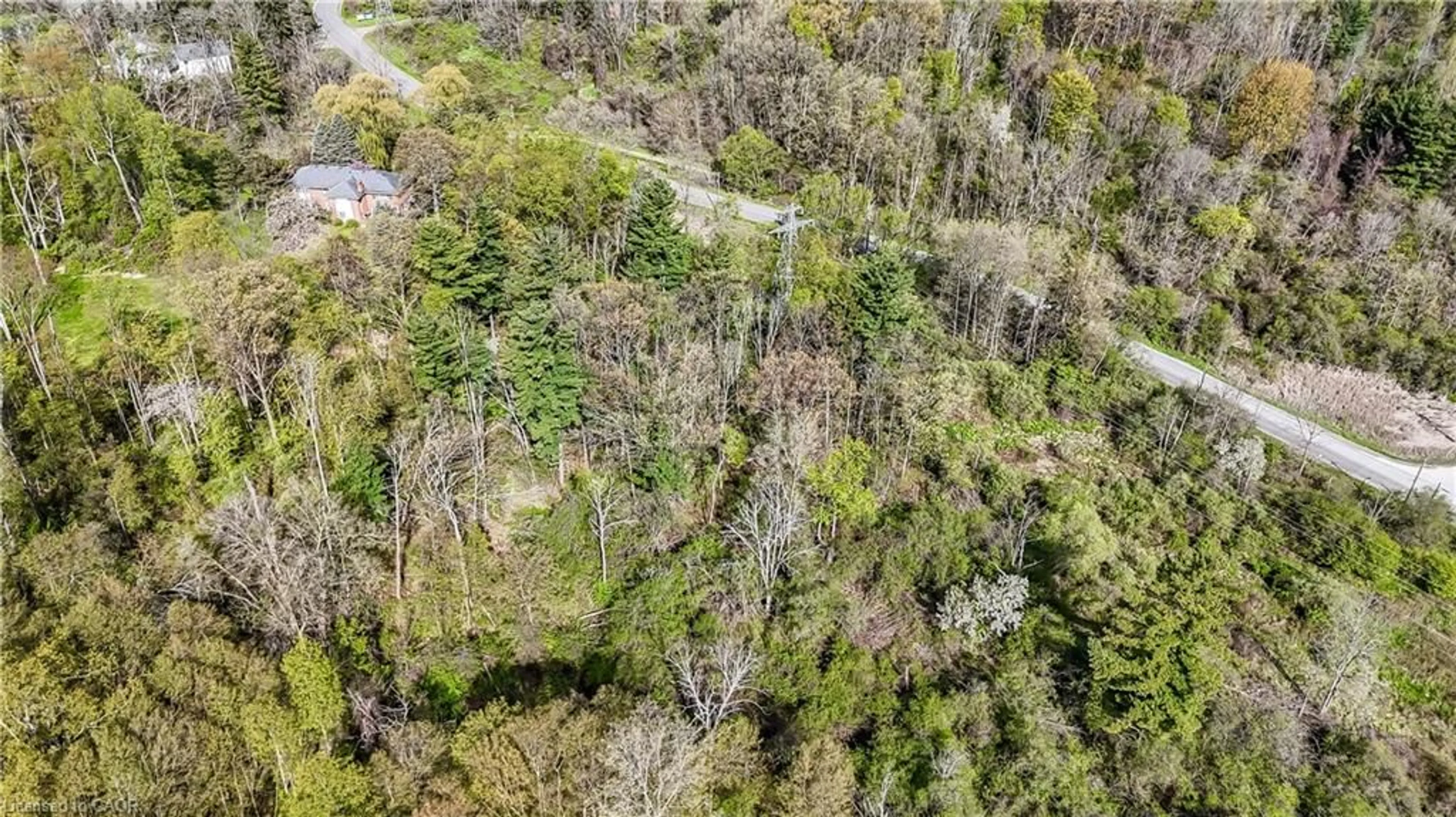 A pic from outside/outdoor area/front of a property/back of a property/a pic from drone, forest/trees view for 0 Mineral Springs Rd, Ancaster Ontario L9H 5E3