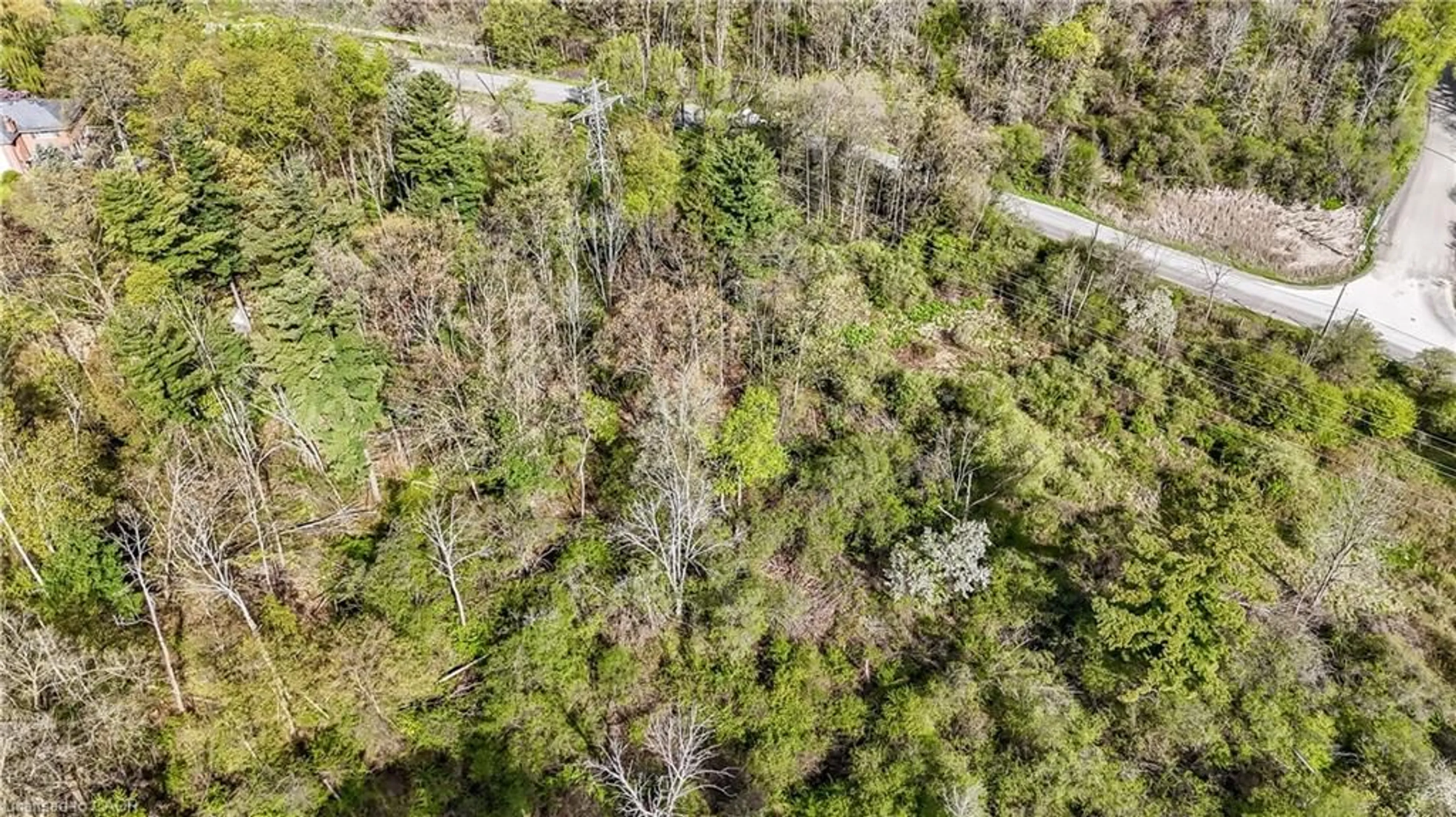 A pic from outside/outdoor area/front of a property/back of a property/a pic from drone, forest/trees view for 0 Mineral Springs Rd, Ancaster Ontario L9H 5E3