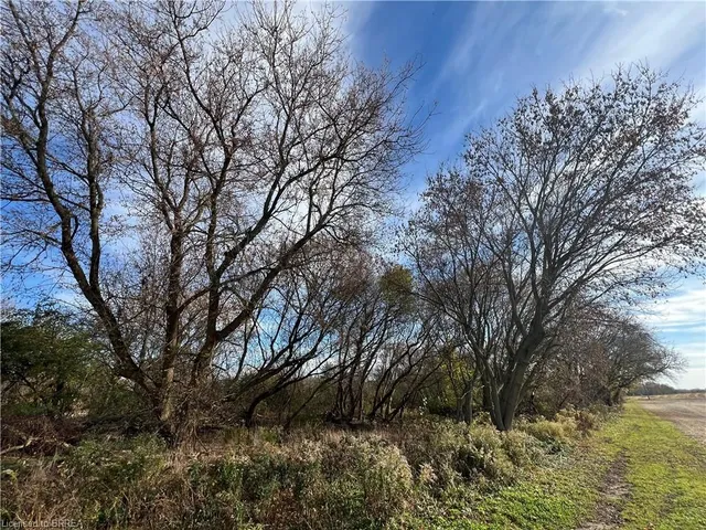 567 Burtch Rd, Mount Pleasant 3