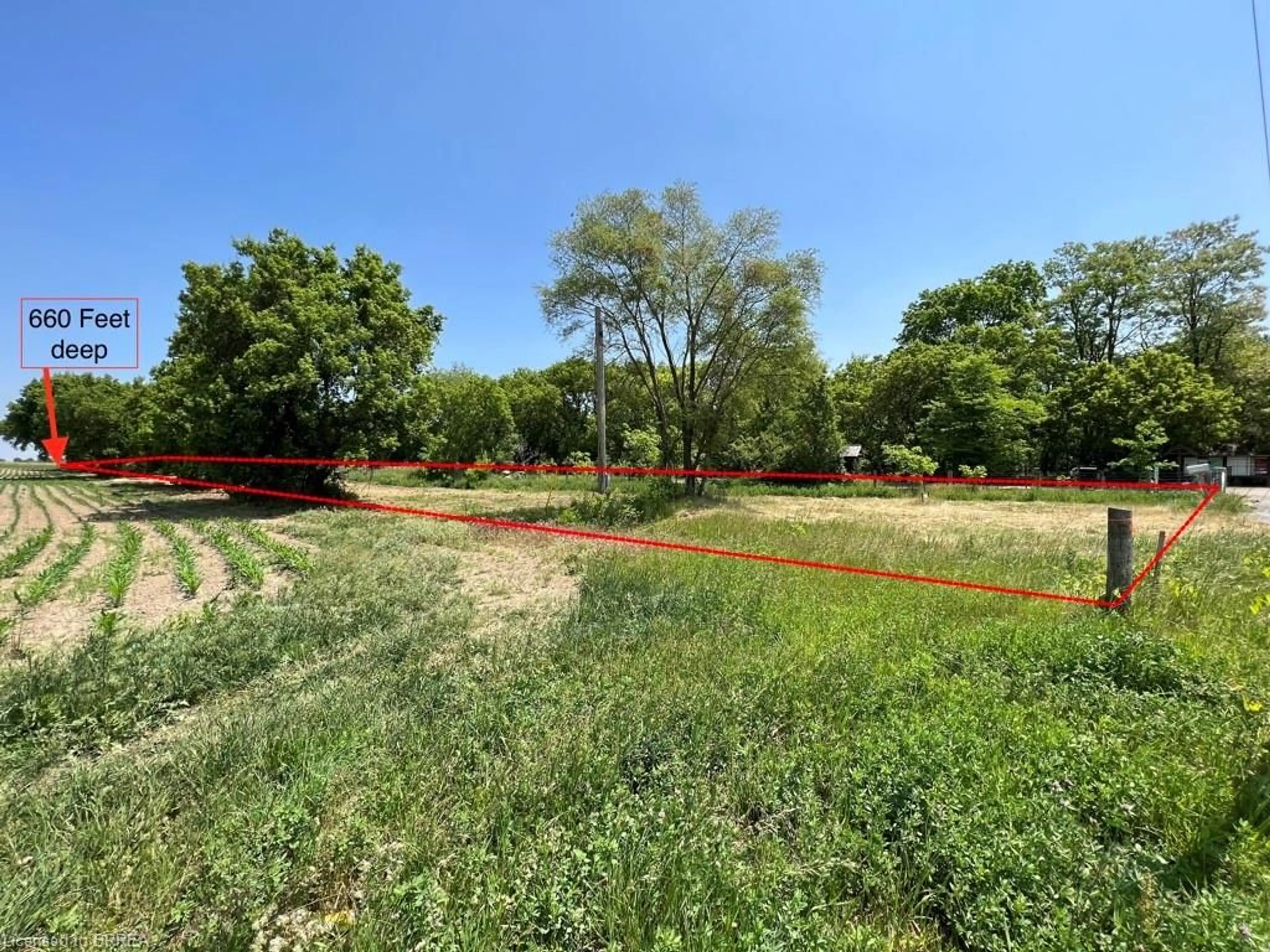 A pic from outside/outdoor area/front of a property/back of a property/a pic from drone, forest/trees view for 567 Burtch Rd, Mount Pleasant Ontario N0E 1K0
