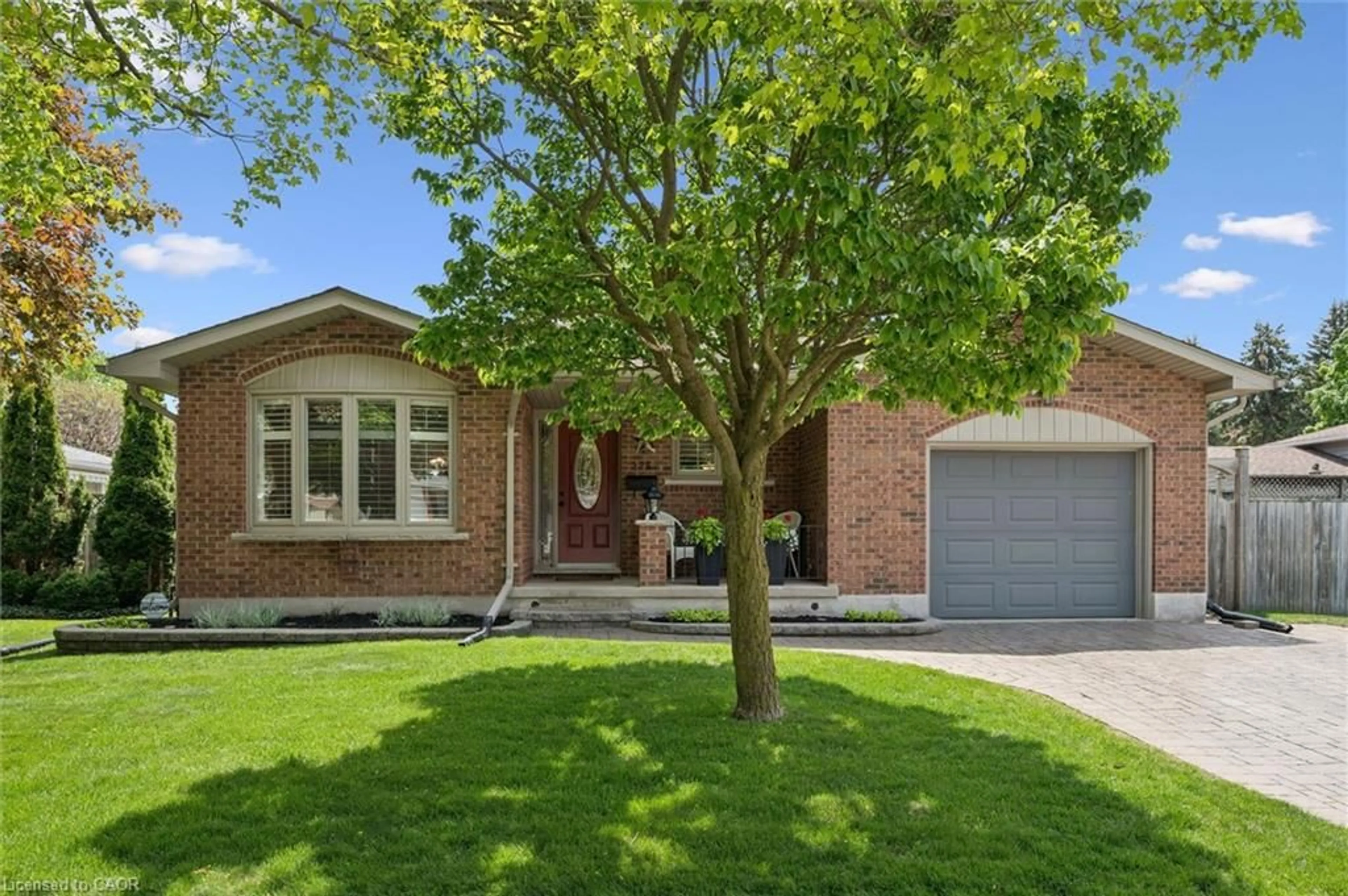 itso/IMG-40833167_1.jpg