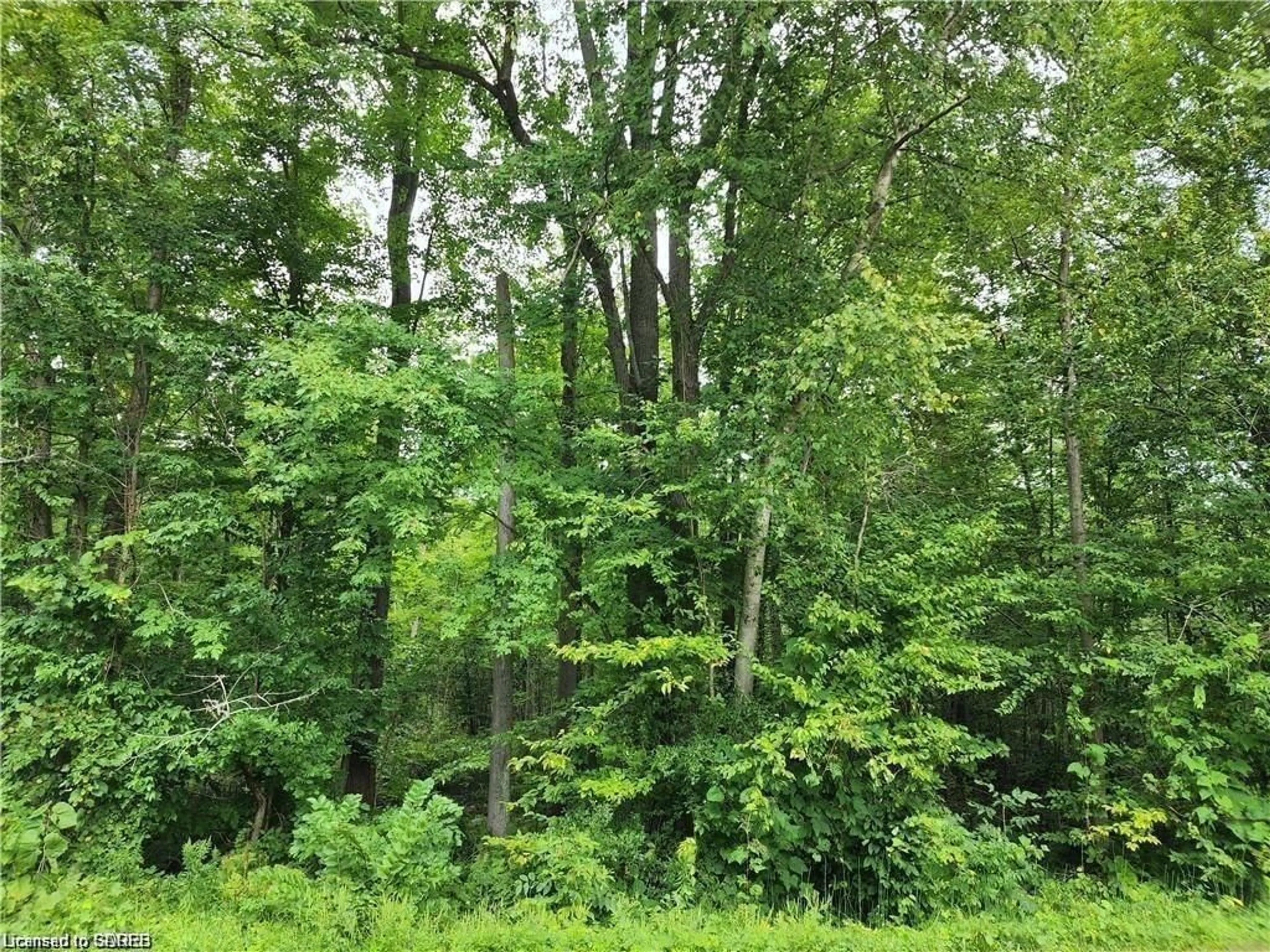 Unknown for PT LOT 20 7 Concession, Simcoe Ontario N3Y 4K1