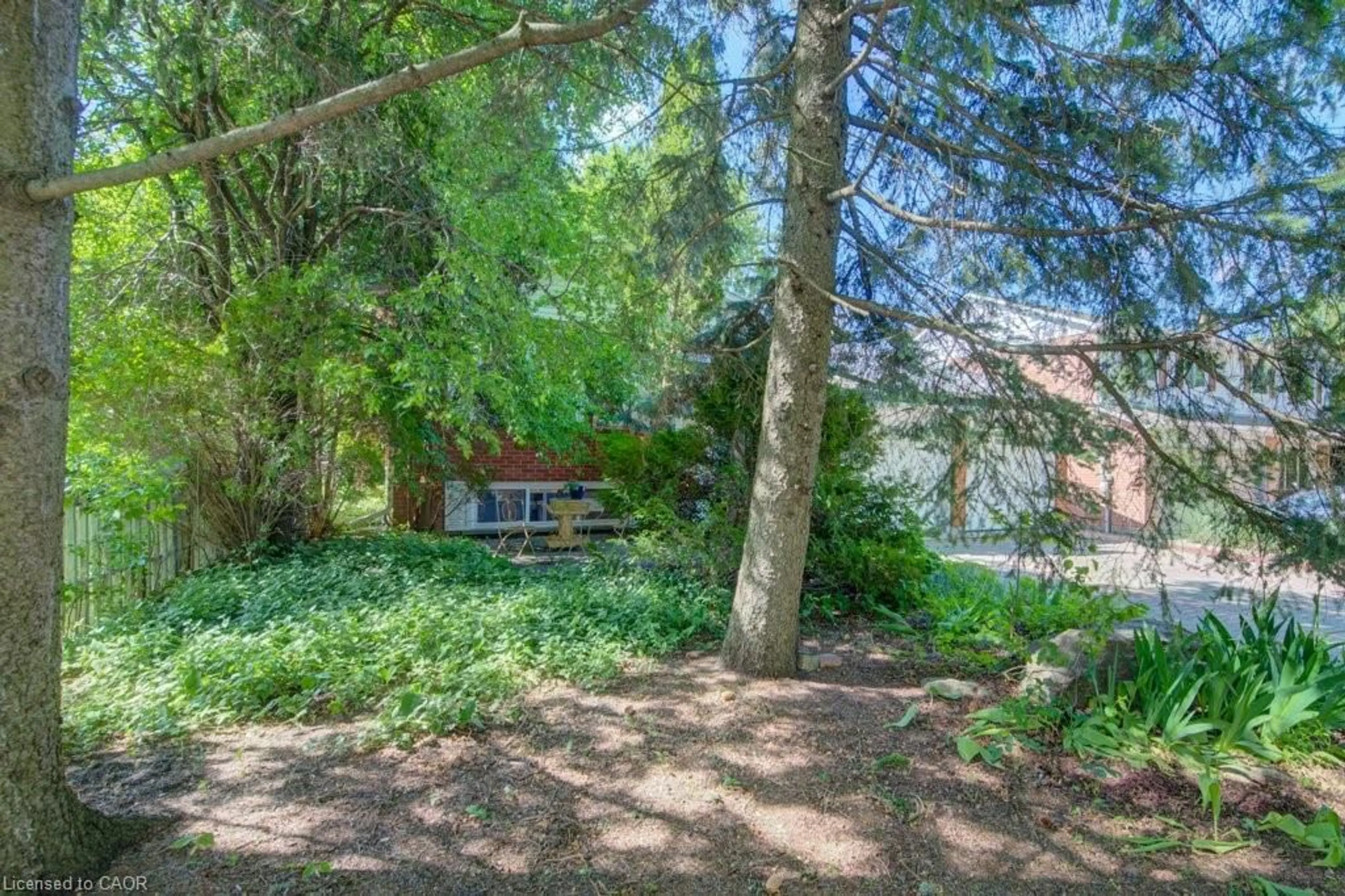 Patio, forest/trees view for 60 Mayfield Ave, Waterloo Ontario N2J 3S1