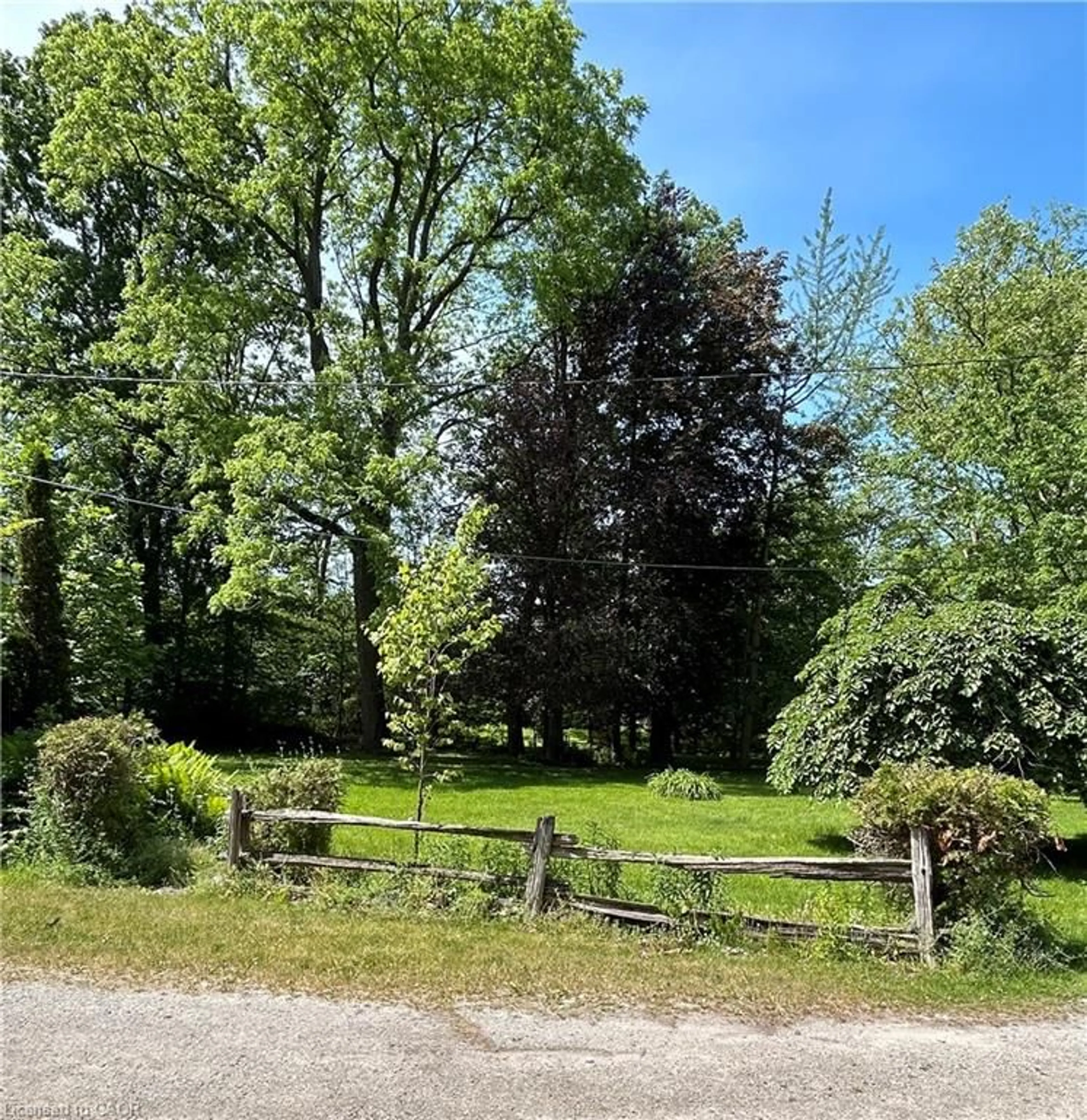 A pic from outside/outdoor area/front of a property/back of a property/a pic from drone, forest/trees view for 399 Norfolk St, Simcoe Ontario N3Y 2W8