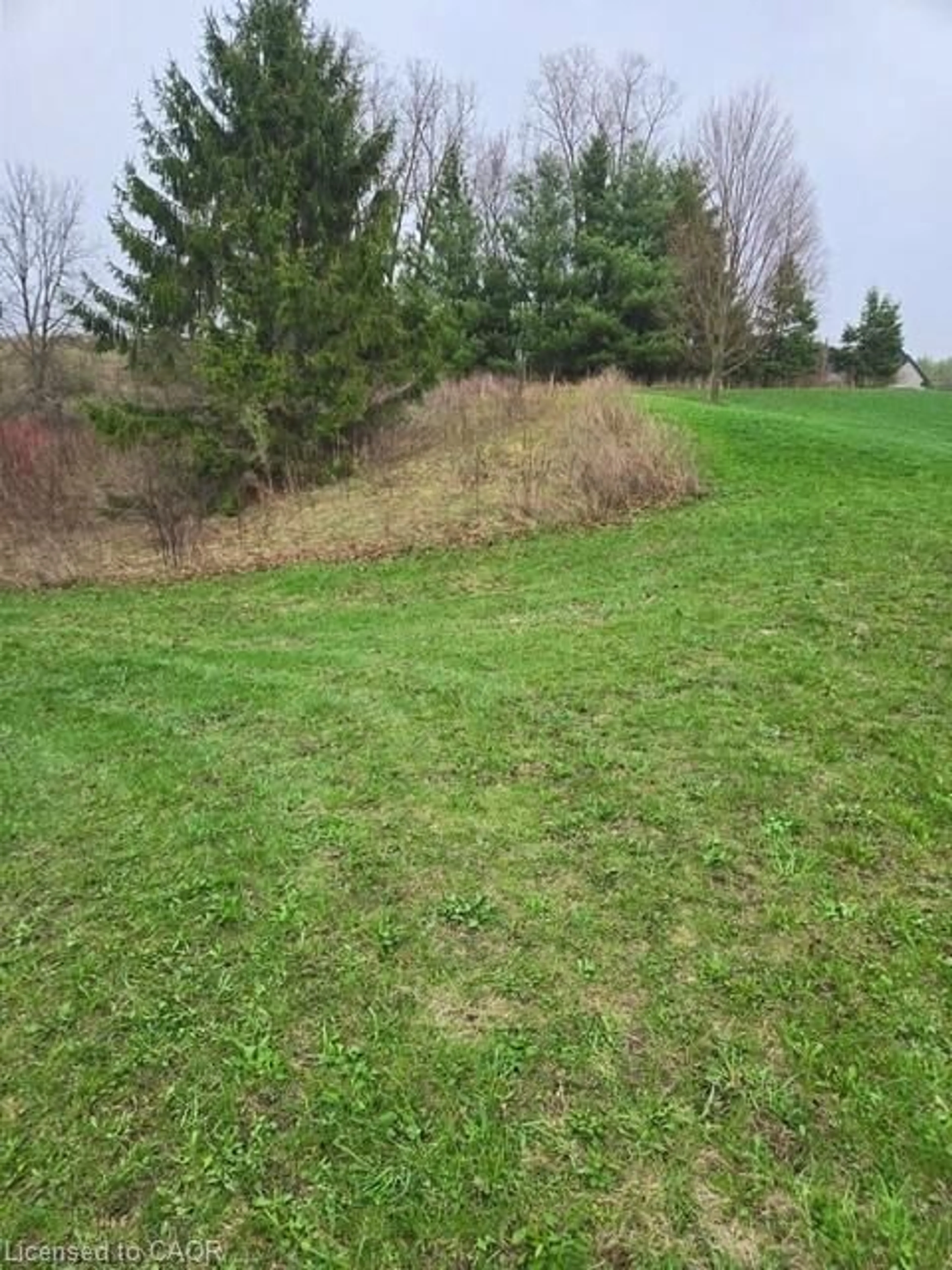 A pic from outside/outdoor area/front of a property/back of a property/a pic from drone, forest/trees view for 308 River Rd, St. George Ontario N0E 1N0