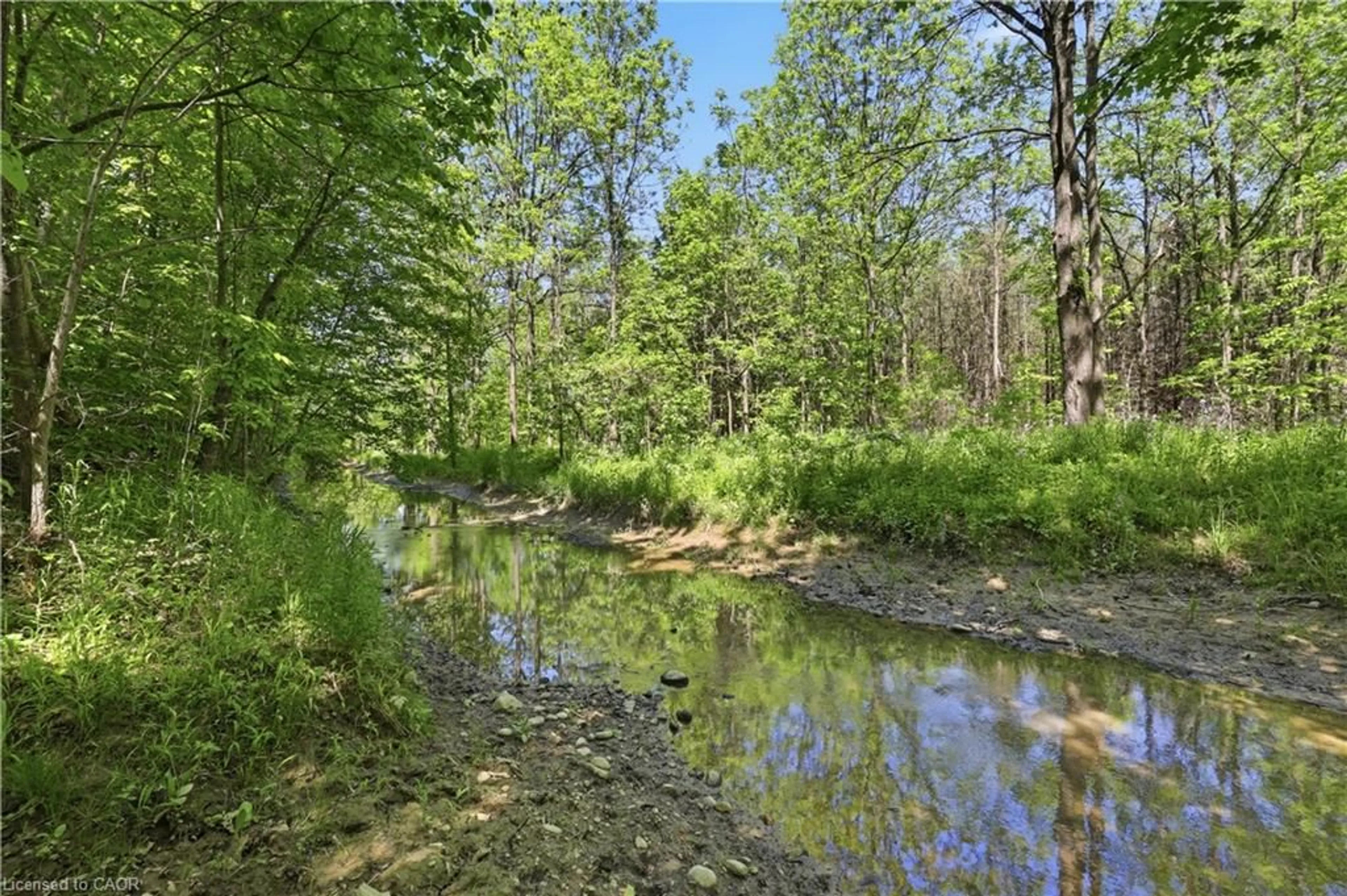 Unknown for 19 Baptist Church Rd, Brantford Ontario N3T 5L4