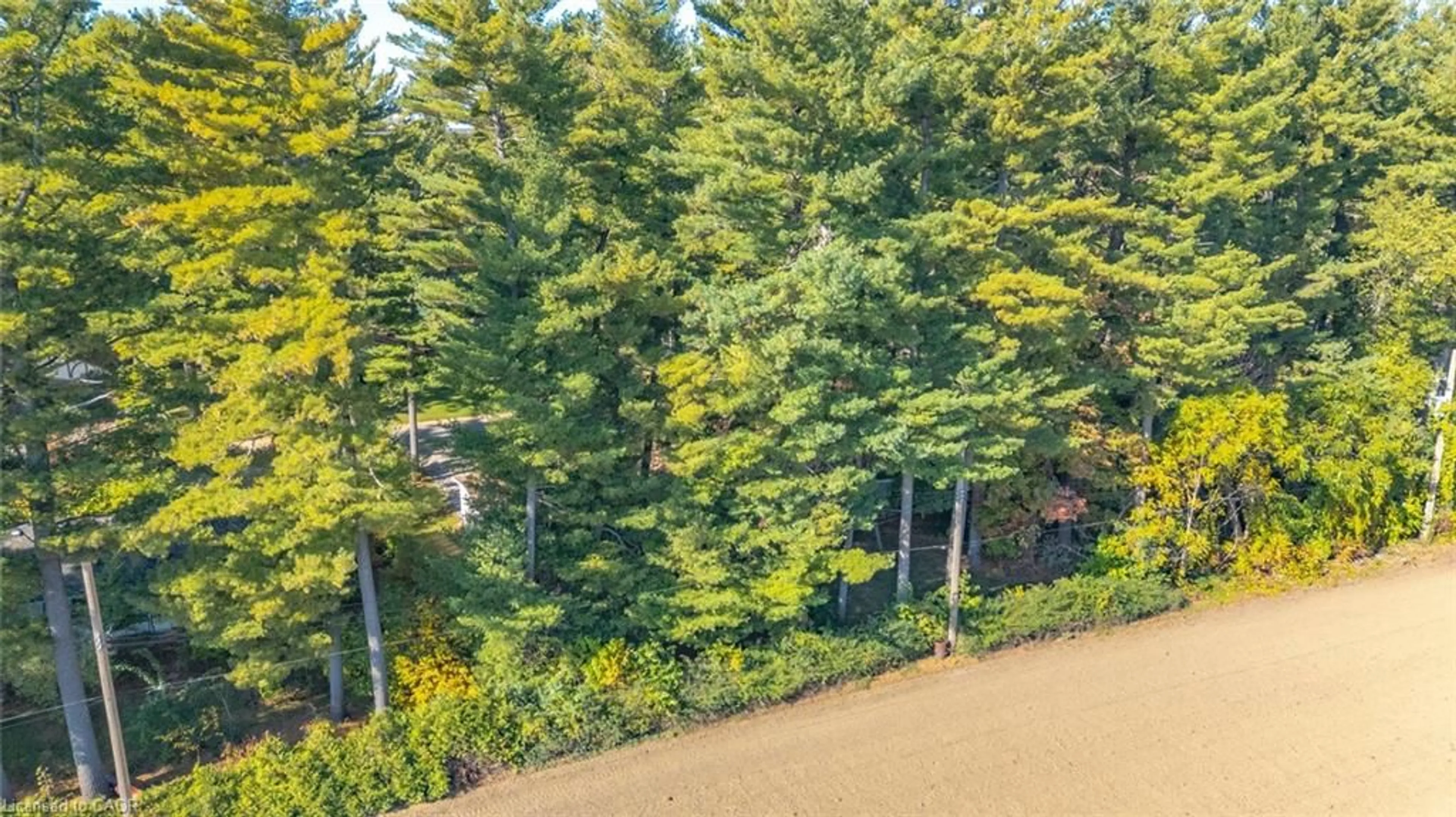 A pic from outside/outdoor area/front of a property/back of a property/a pic from drone, forest/trees view for 643 Gage St, Delhi Ontario N4B 2G7