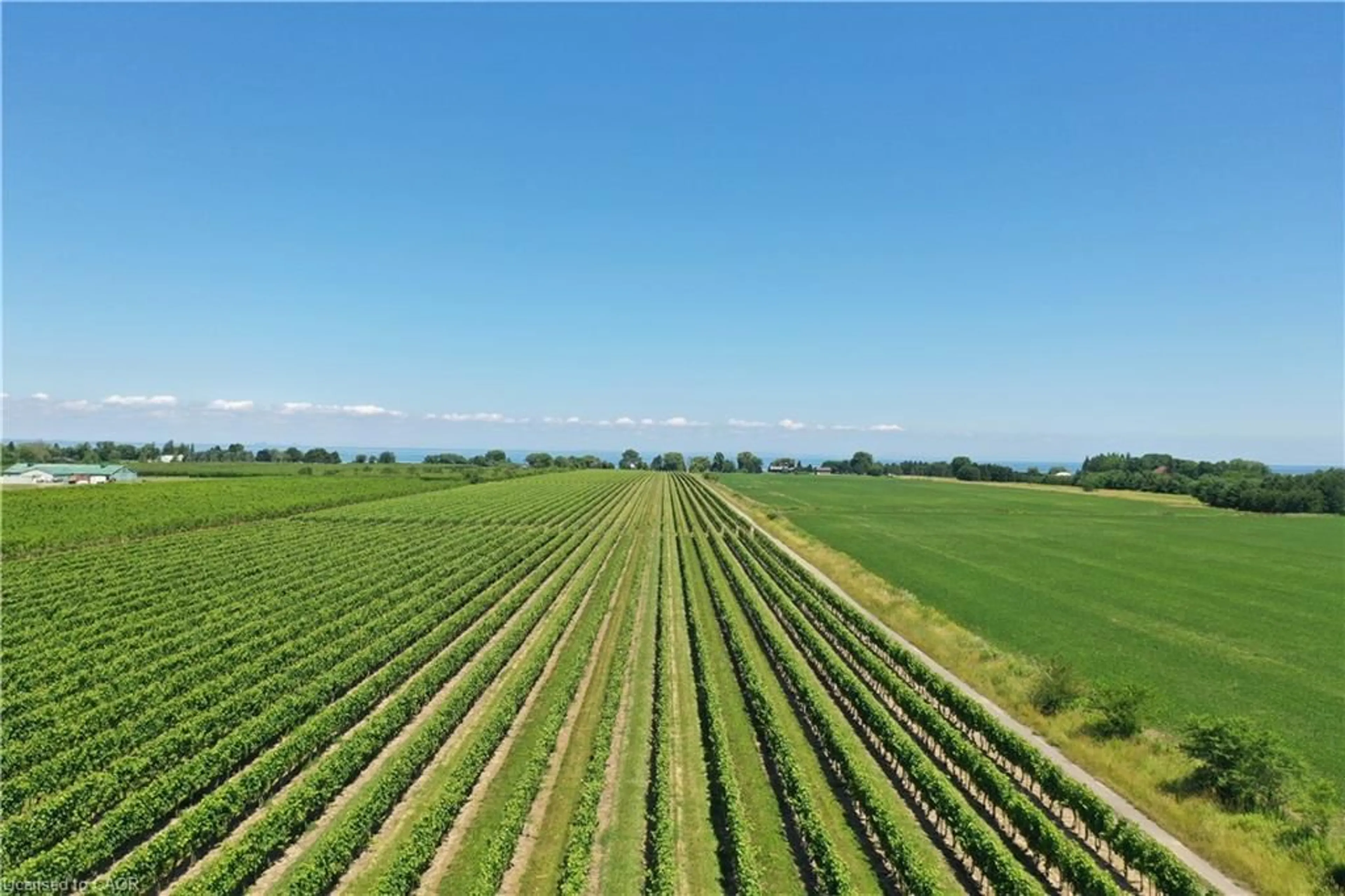 A pic from outside/outdoor area/front of a property/back of a property/a pic from drone, unknown for 3705 Service Rd, Beamsville Ontario L3J 1J3