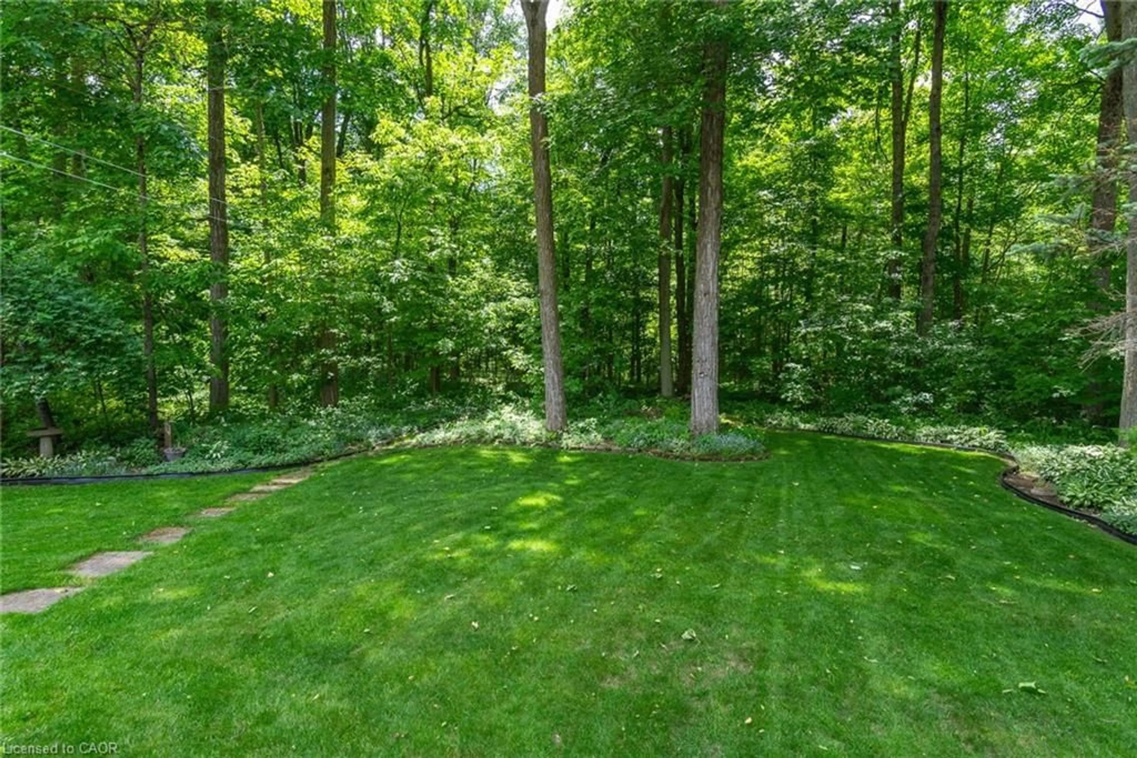 Patio, forest/trees view for 128 Eby Cres, New Hamburg Ontario N3A 1Z2