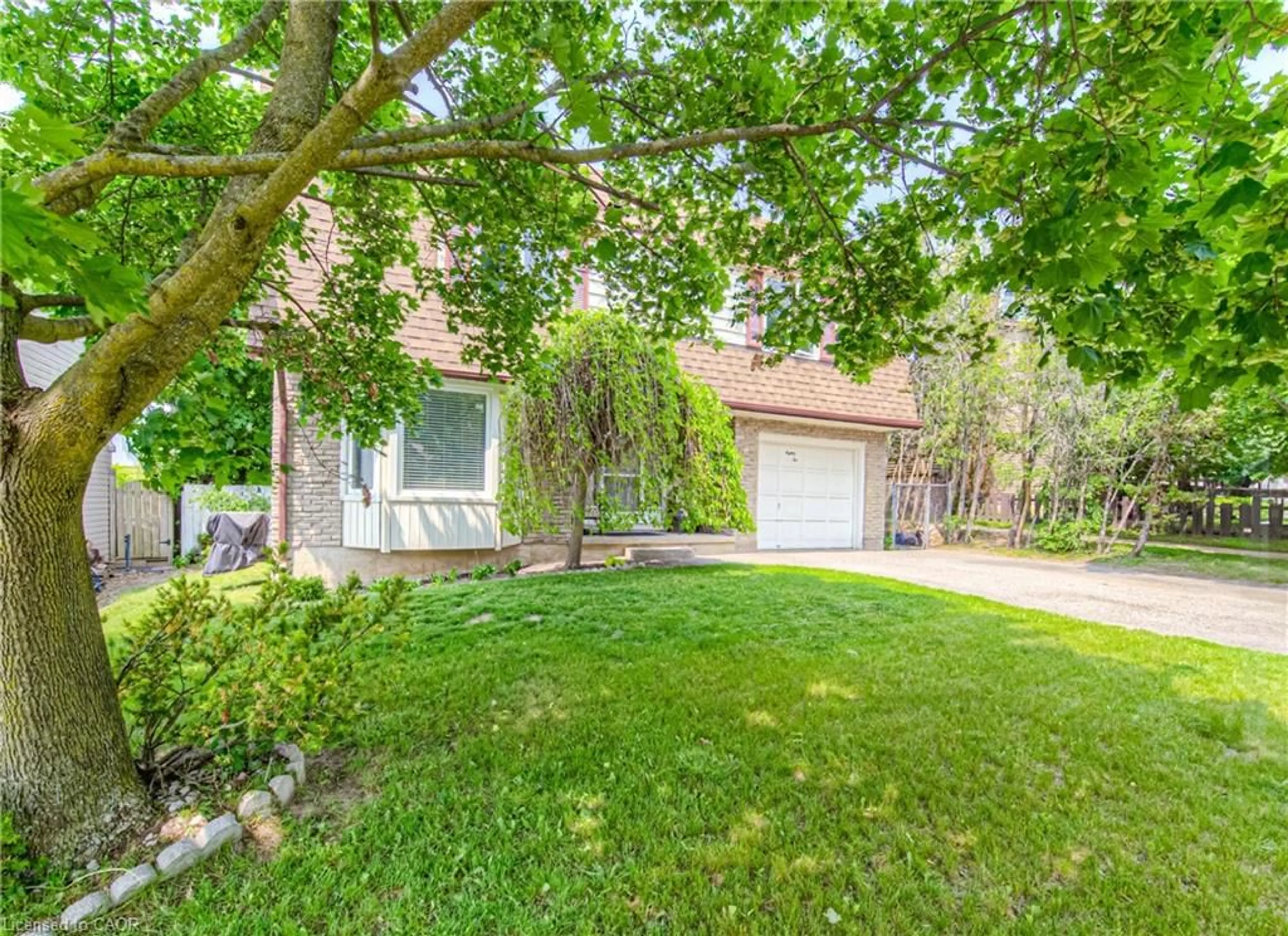 A pic from outside/outdoor area/front of a property/back of a property/a pic from drone, street for 82 Roseneath Cres, Kitchener Ontario N2E 1V9