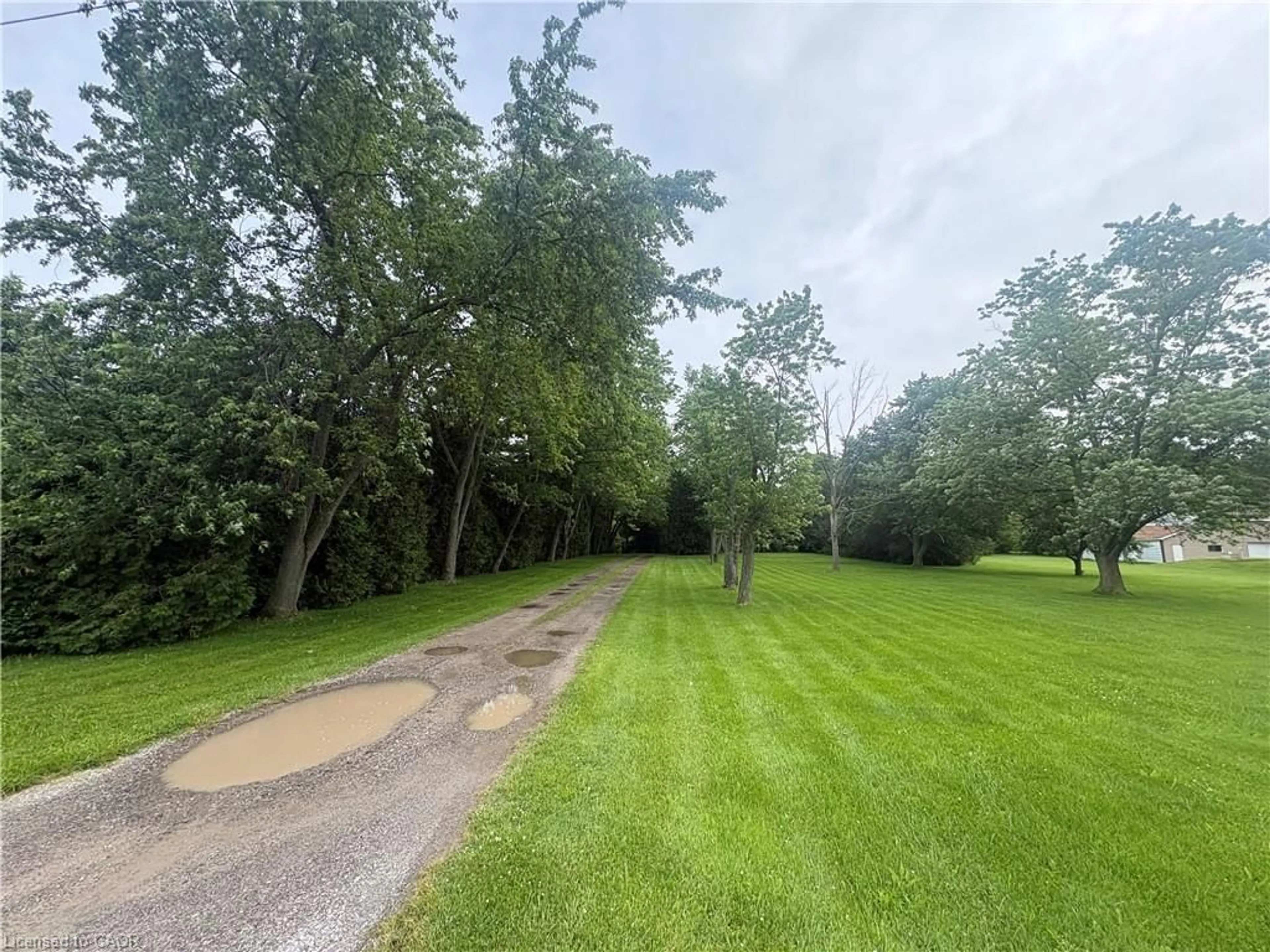 A pic from outside/outdoor area/front of a property/back of a property/a pic from drone, forest/trees view for 165 Ridge Rd, Grimsby Ontario L3M 4E7