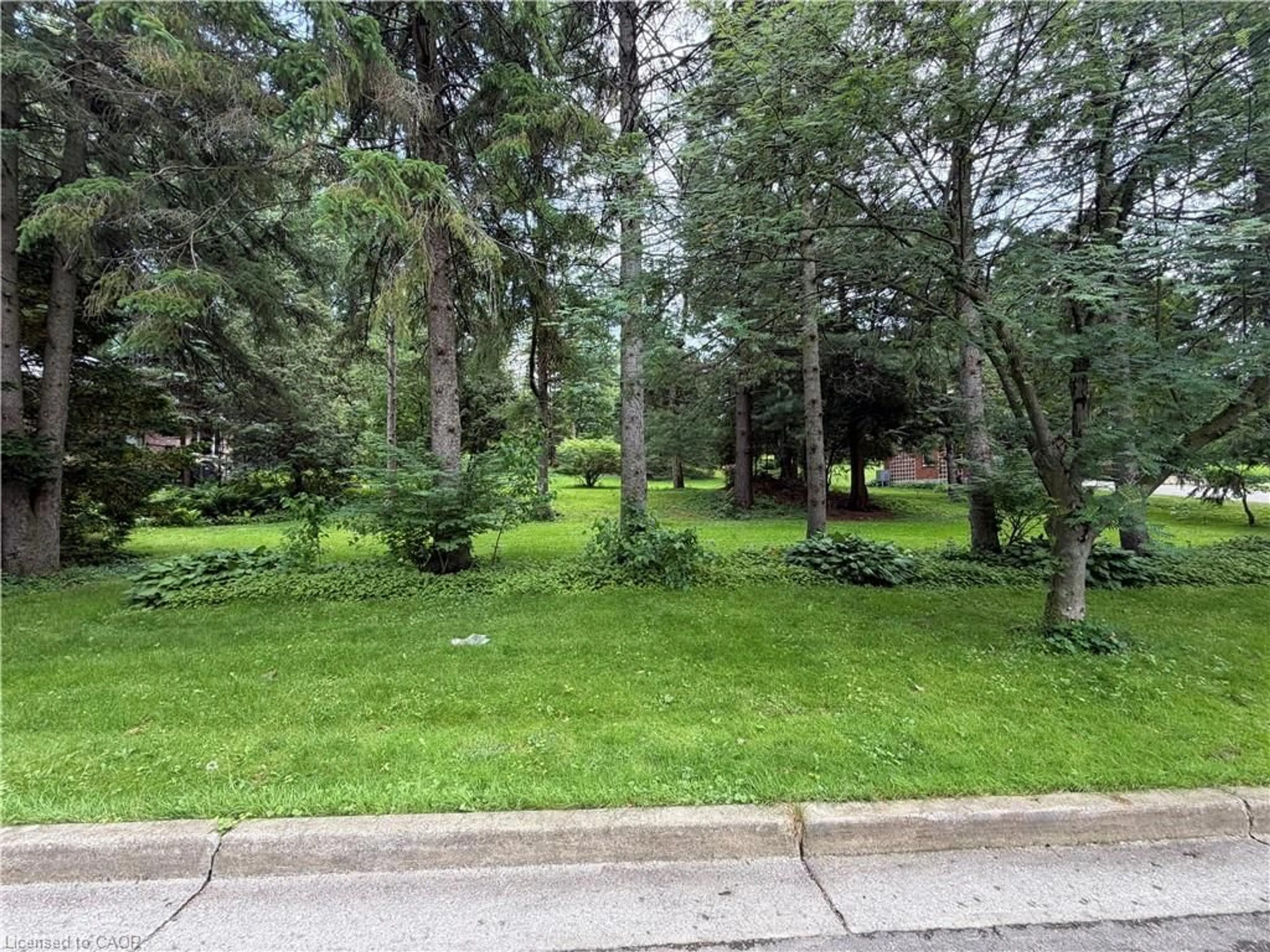 A pic from outside/outdoor area/front of a property/back of a property/a pic from drone, forest/trees view for 154 Mccall Cres, Simcoe Ontario N3Y 2E1
