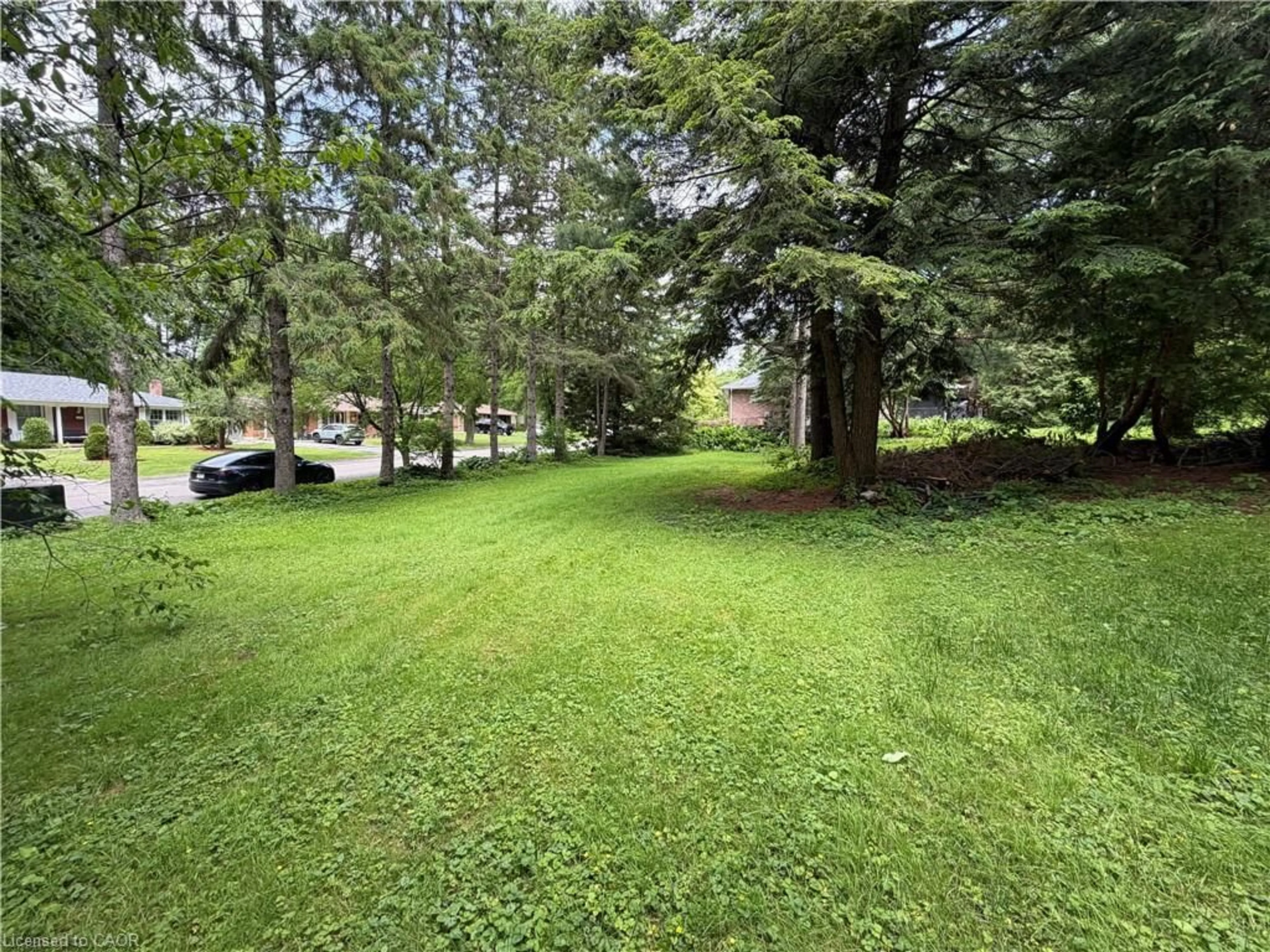 A pic from outside/outdoor area/front of a property/back of a property/a pic from drone, forest/trees view for 152 Mccall Cres, Simcoe Ontario N3Y 2E1