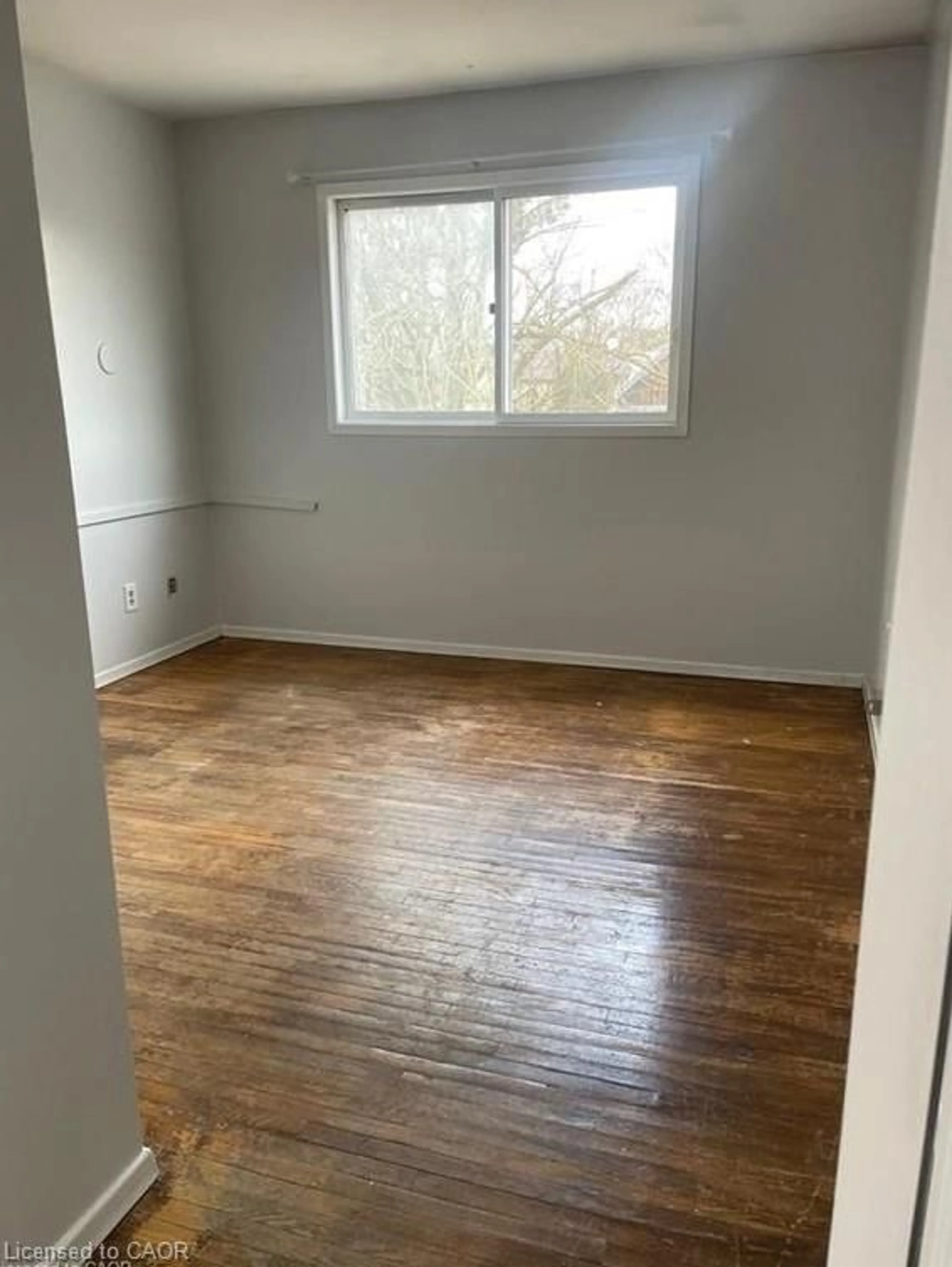 A pic of a room for 74 William St, Waterloo Ontario N2L 1J7