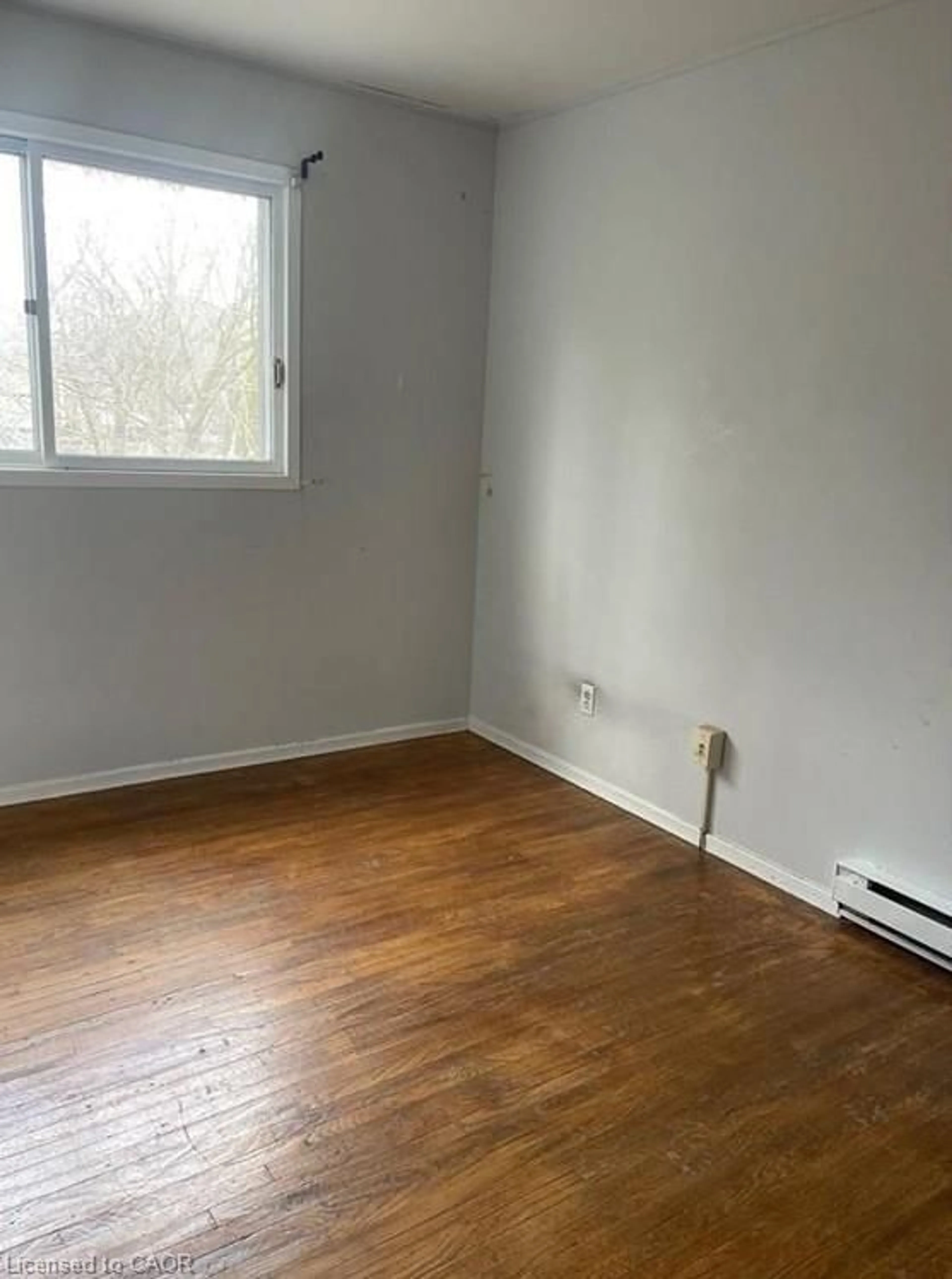 A pic of a room for 74 William St, Waterloo Ontario N2L 1J7
