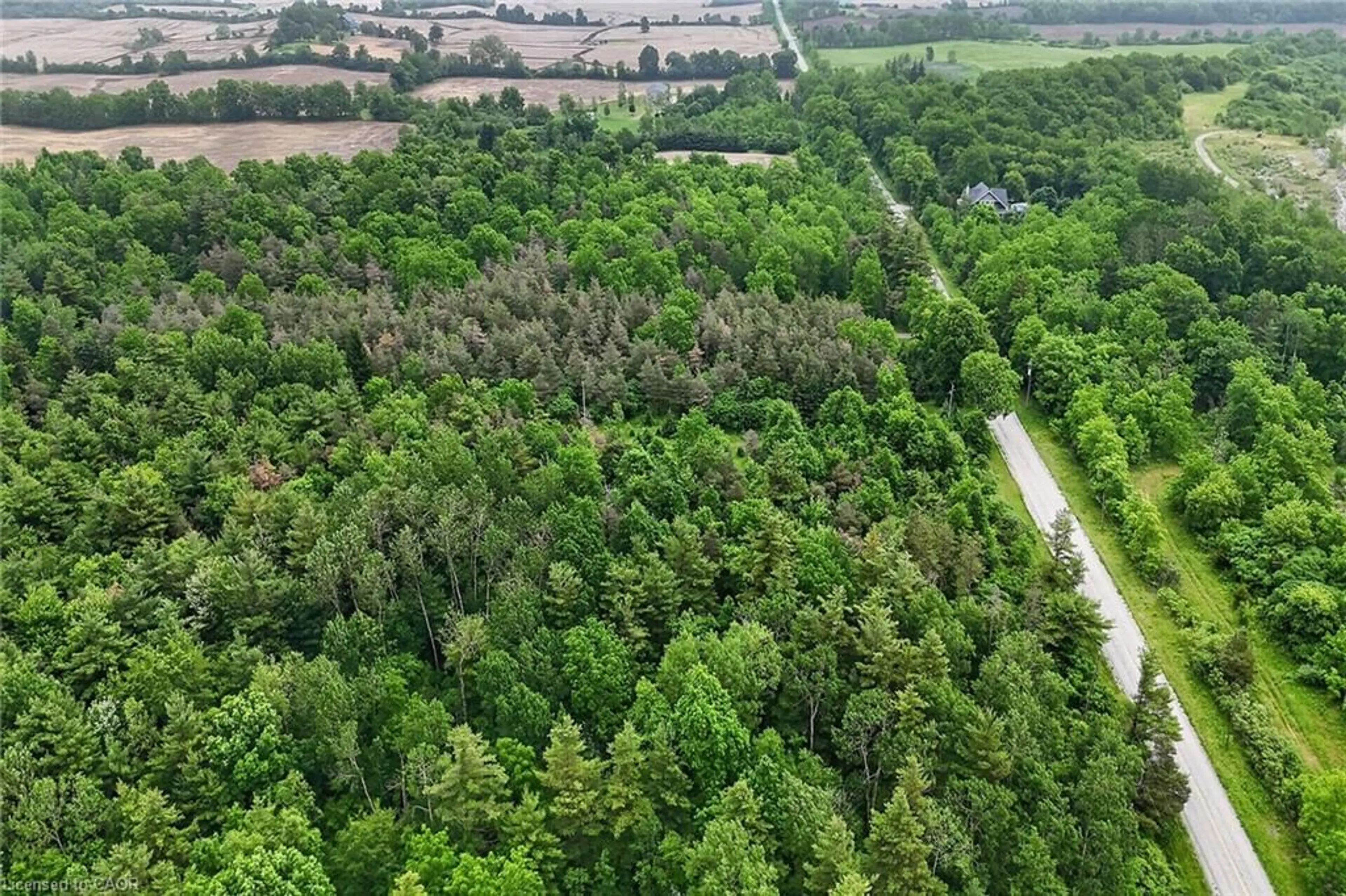 A pic from outside/outdoor area/front of a property/back of a property/a pic from drone, forest/trees view for 581 Townline Rd, Cayuga Ontario N0A 1E0