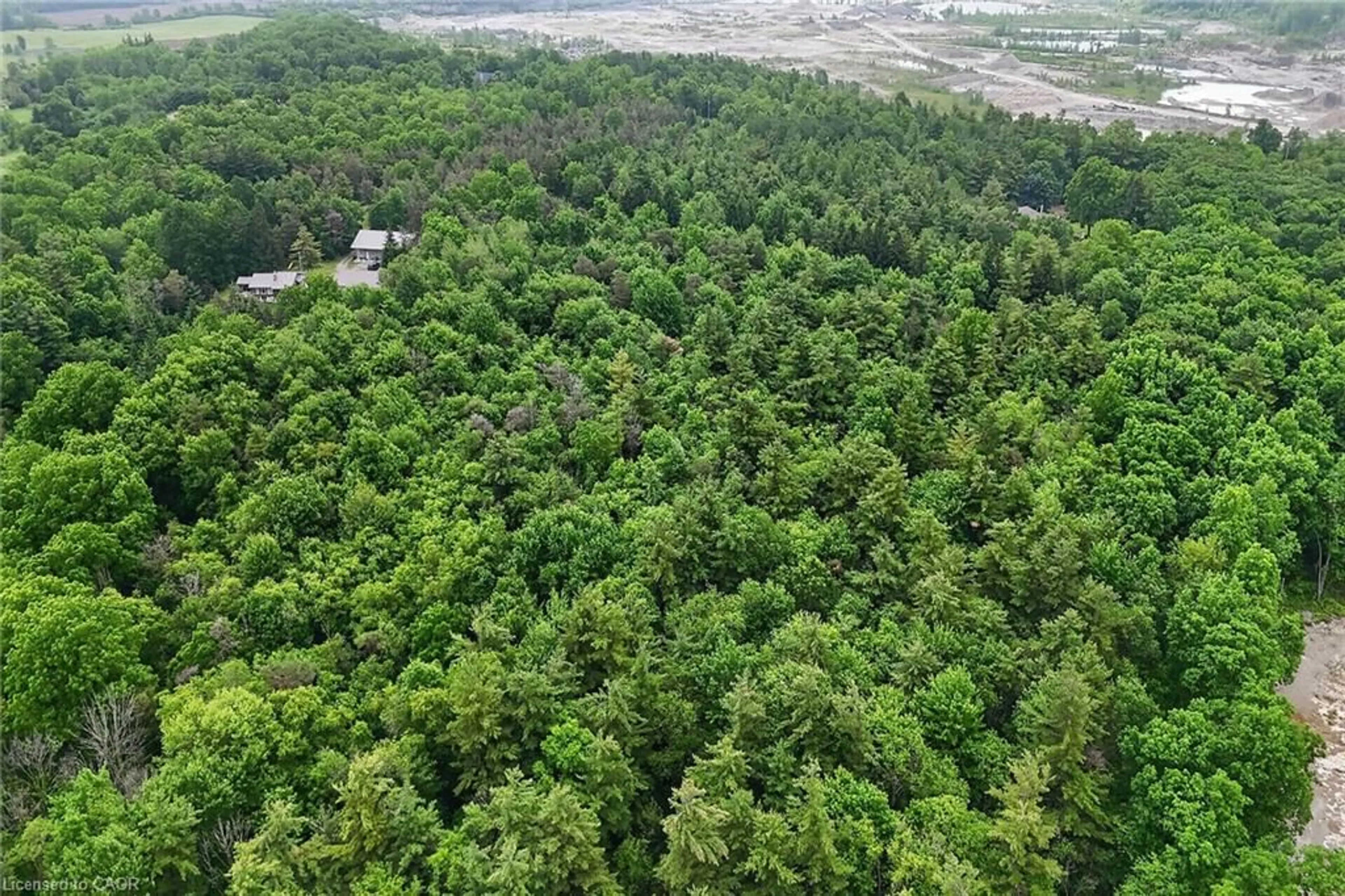 A pic from outside/outdoor area/front of a property/back of a property/a pic from drone, forest/trees view for 581 Townline Rd, Cayuga Ontario N0A 1E0