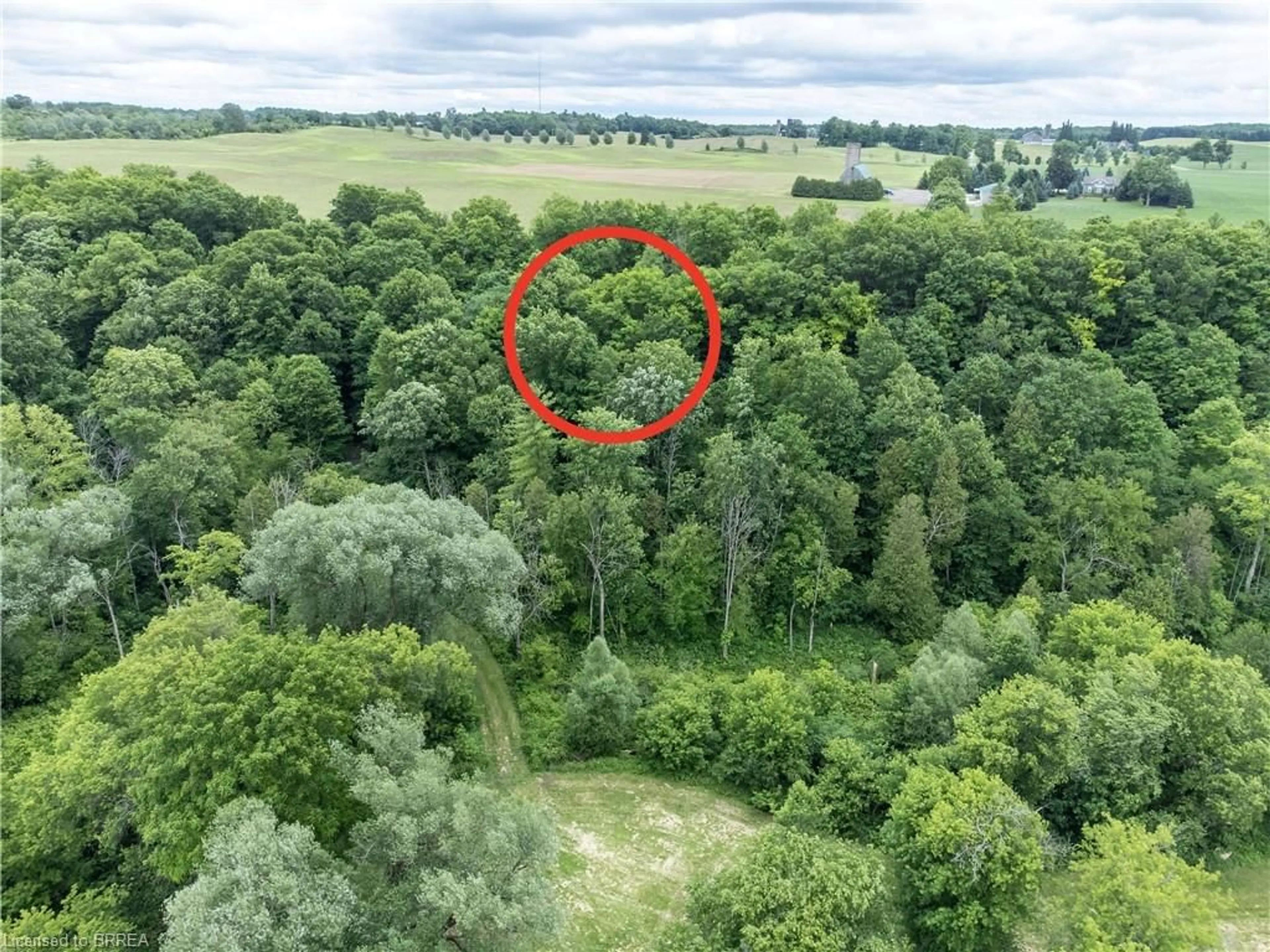 A pic from outside/outdoor area/front of a property/back of a property/a pic from drone, forest/trees view for 551 East River Rd, South Dumfries Ontario N0B 1W0