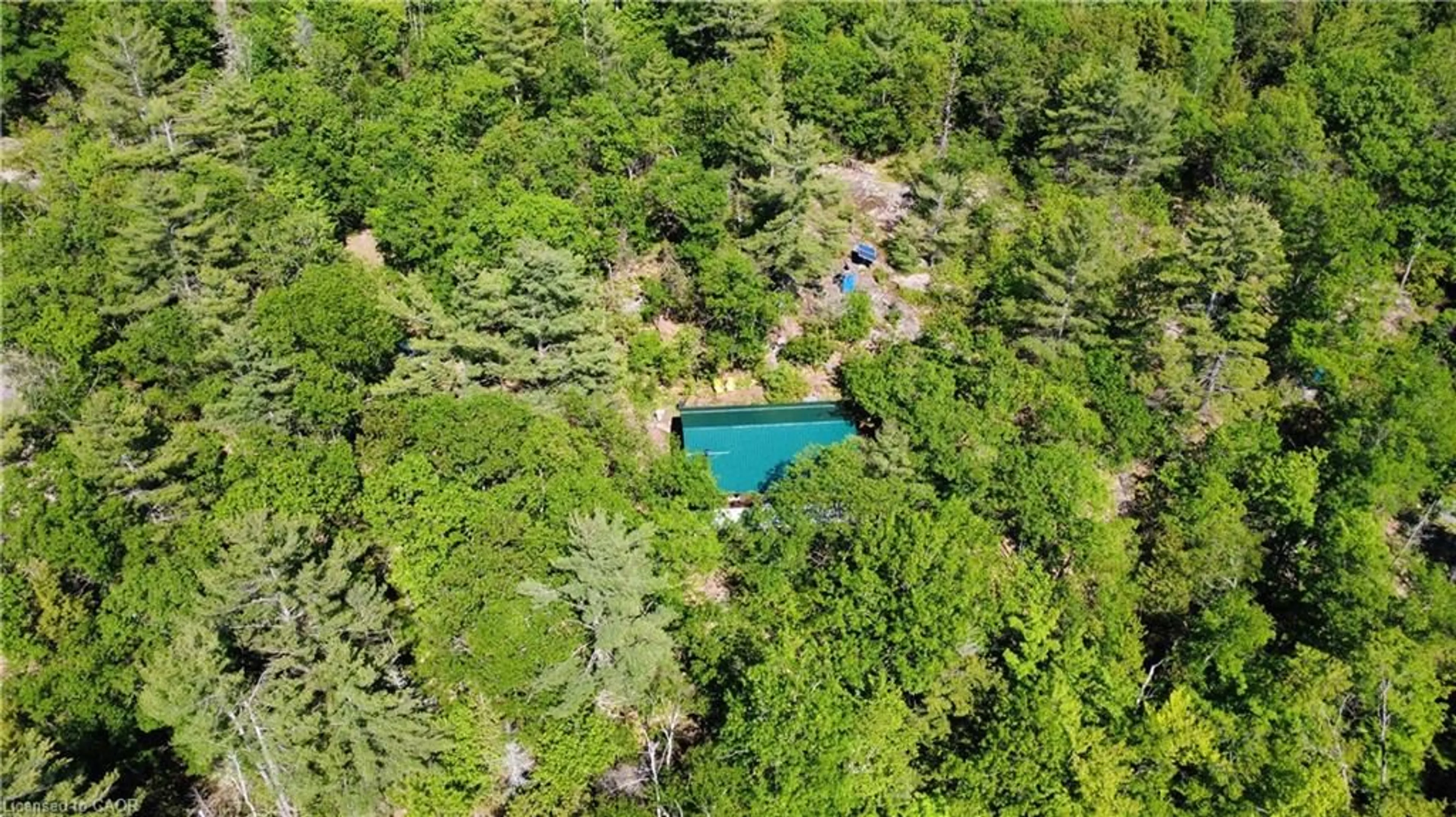 A pic from outside/outdoor area/front of a property/back of a property/a pic from drone, forest/trees view for 0 Betty Crt, Wollaston Ontario K0L 1P0