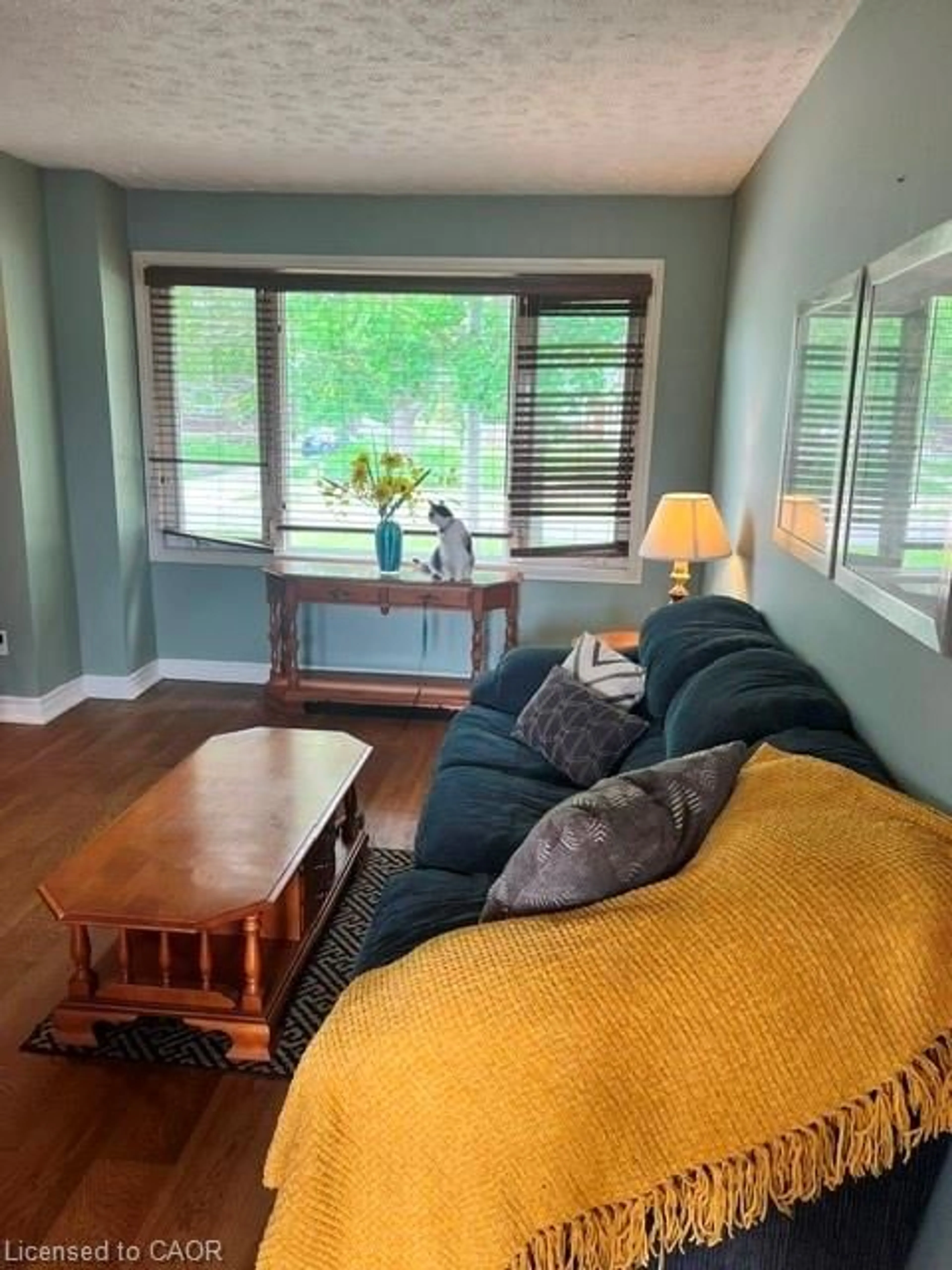 Living room with furniture, wood/laminate floor for 227 Fergus Ave #1, Kitchener Ontario N2A 2H6