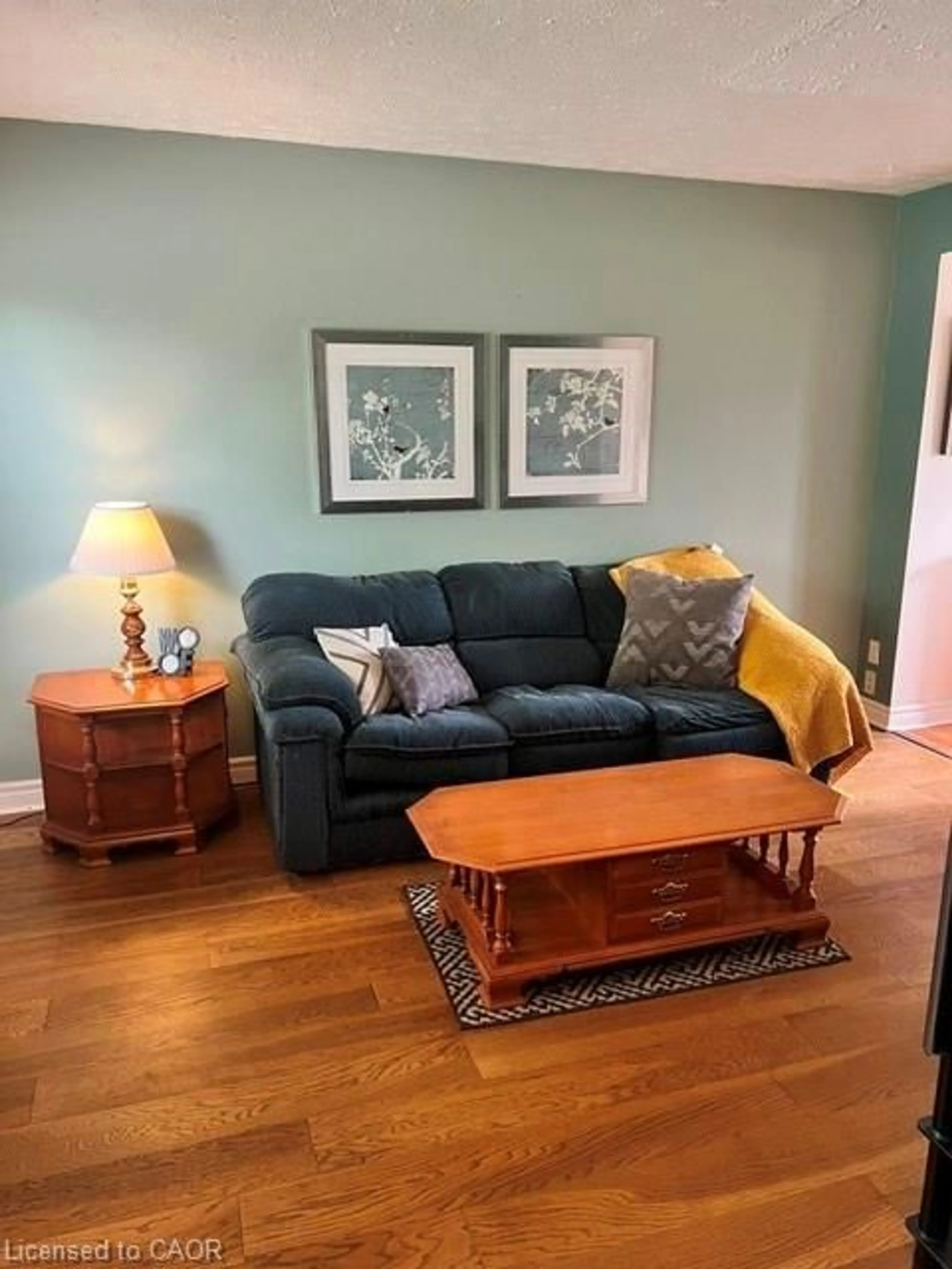 Living room with furniture, wood/laminate floor for 227 Fergus Ave #1, Kitchener Ontario N2A 2H6