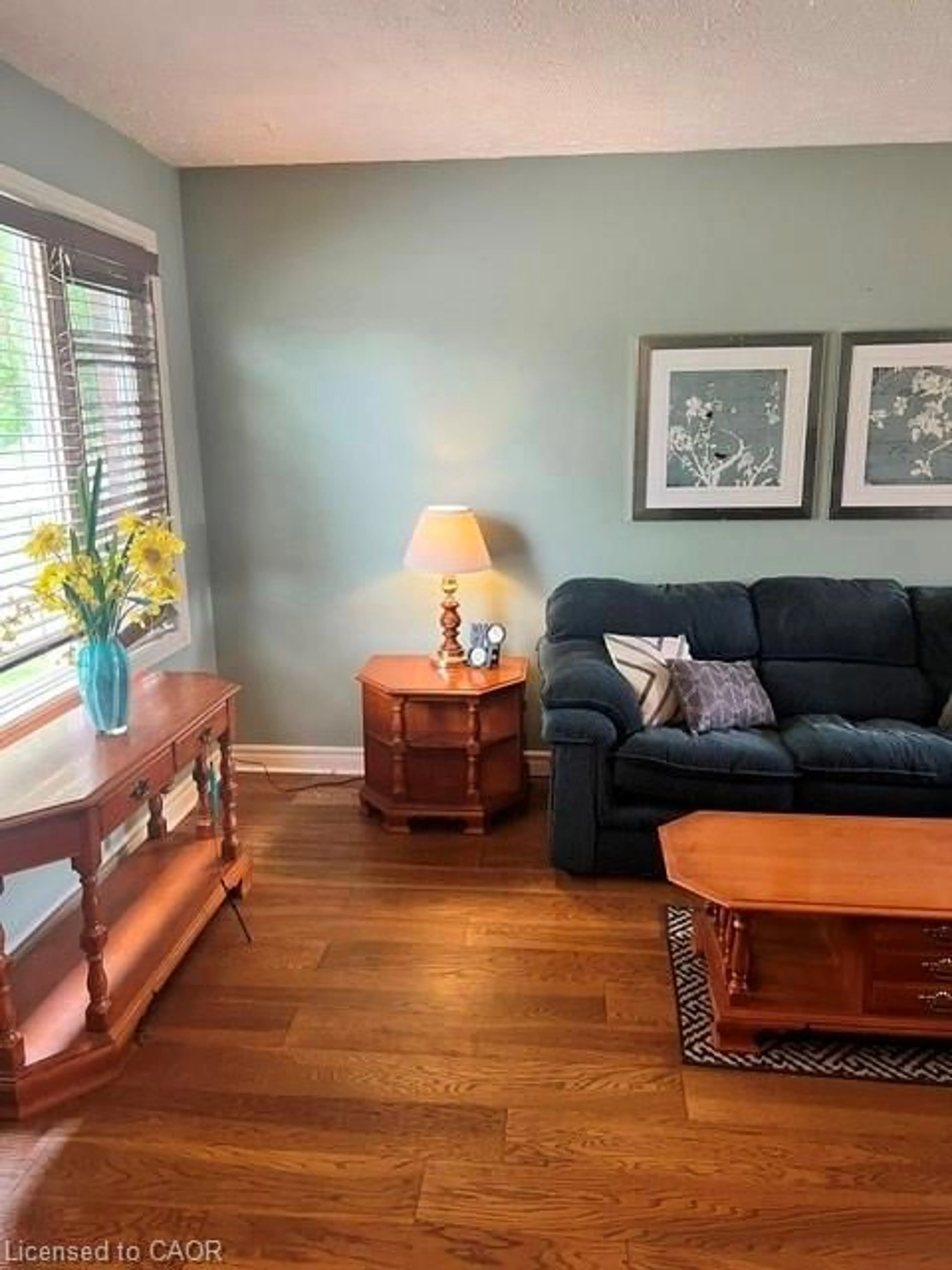 Living room with furniture, wood/laminate floor for 227 Fergus Ave #1, Kitchener Ontario N2A 2H6