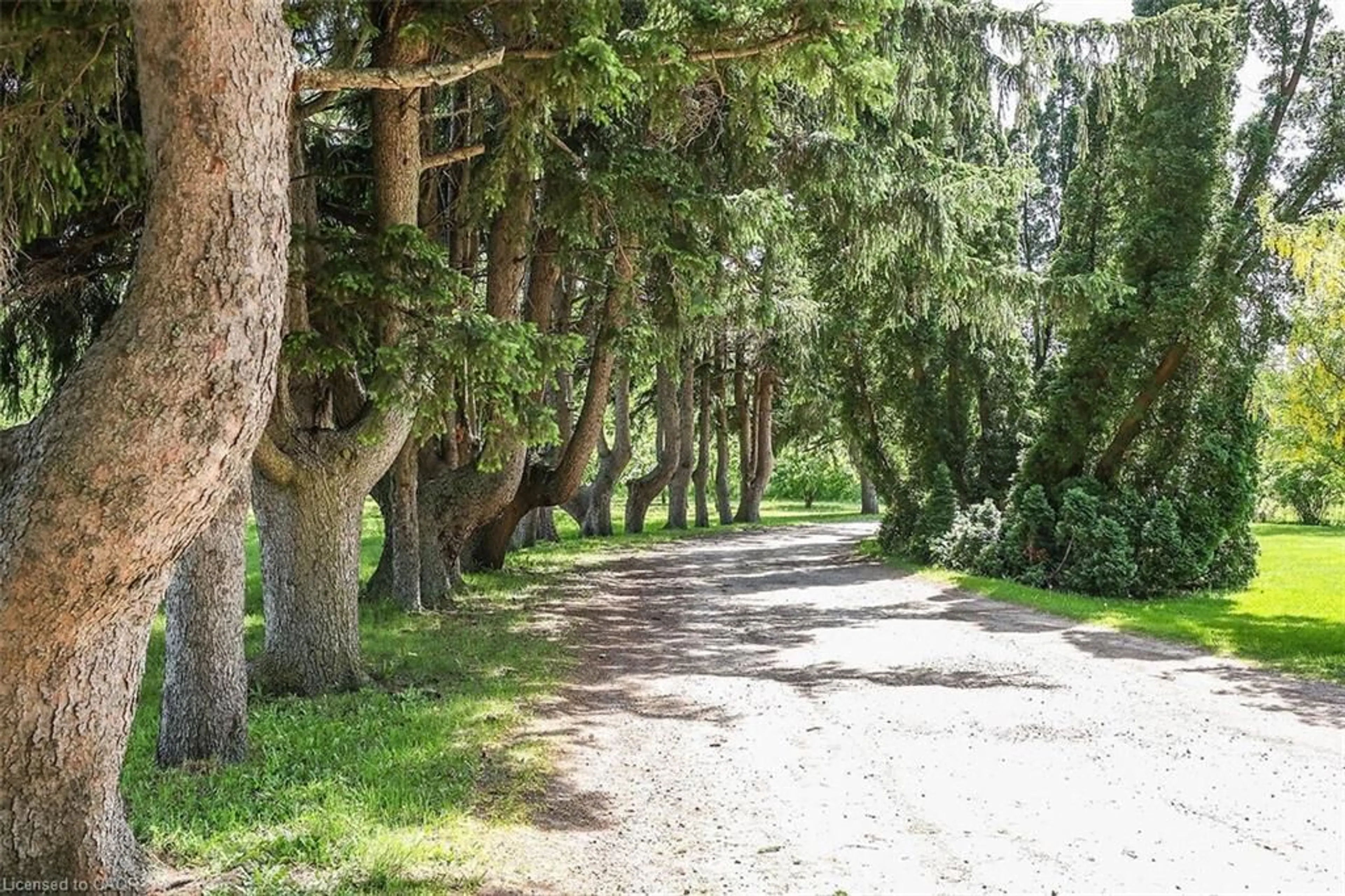 Patio, forest/trees view for 20 Bridgman Lane, Stoney Creek Ontario L8E 5K0