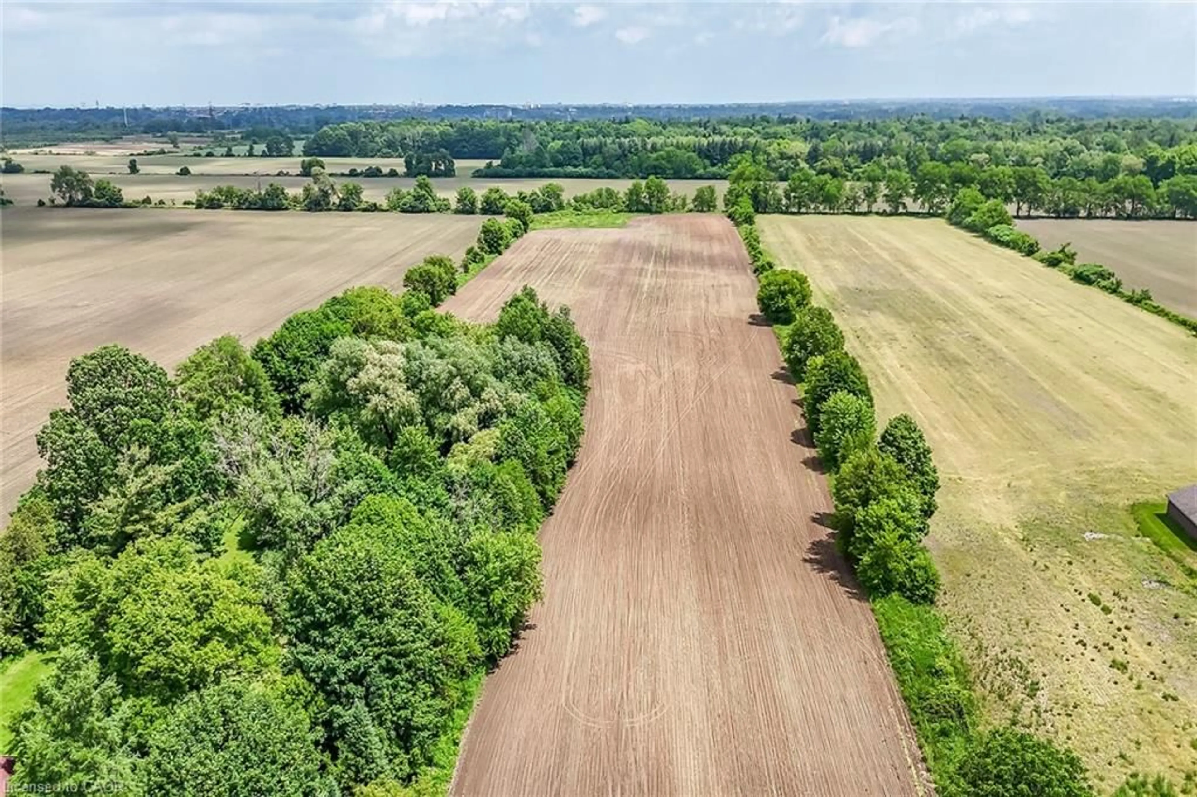 A pic from outside/outdoor area/front of a property/back of a property/a pic from drone, forest/trees view for 837 Smith Rd, Ancaster Ontario L9G 3L1