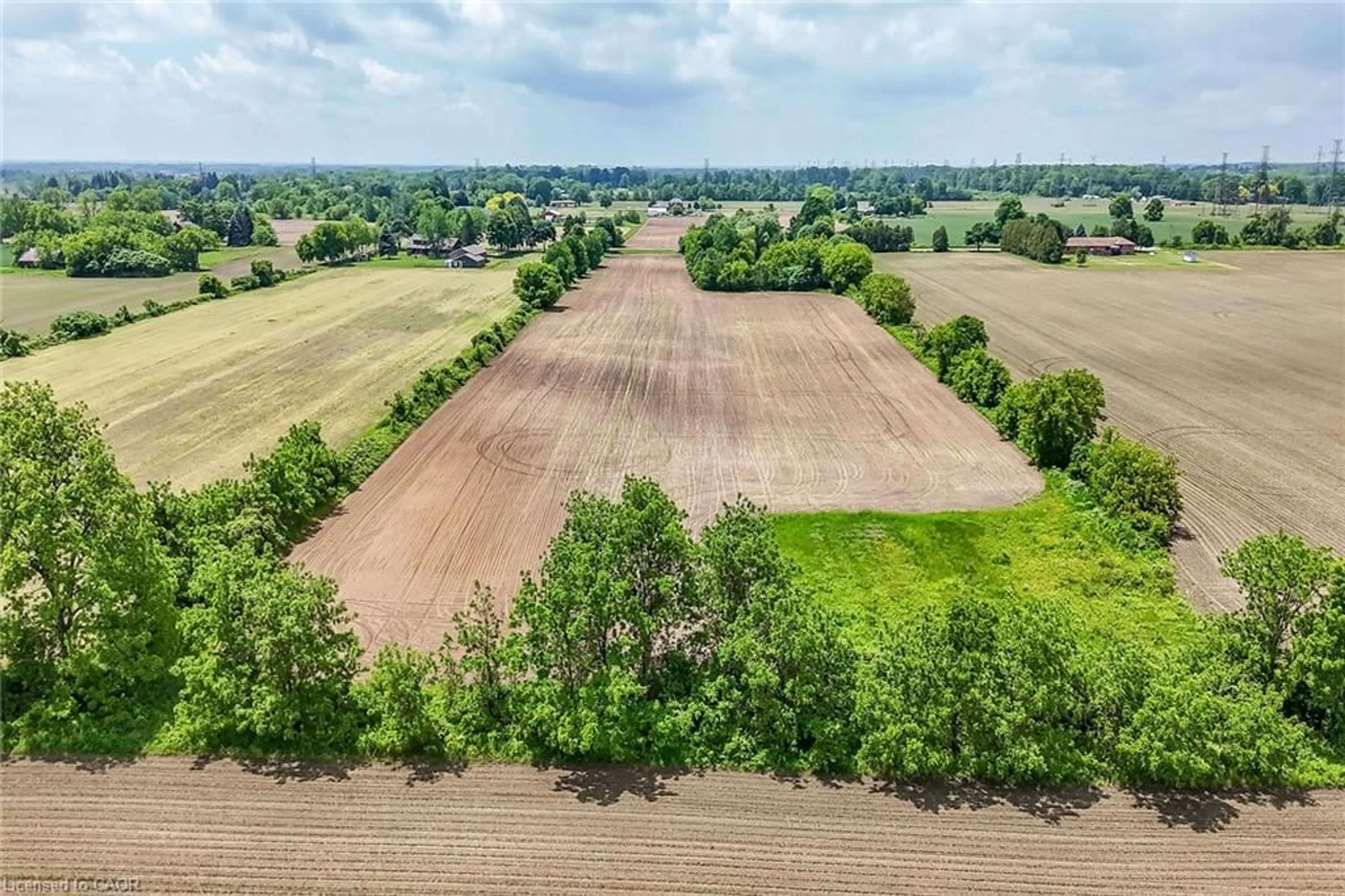 A pic from outside/outdoor area/front of a property/back of a property/a pic from drone, forest/trees view for 837 Smith Rd, Ancaster Ontario L9G 3L1