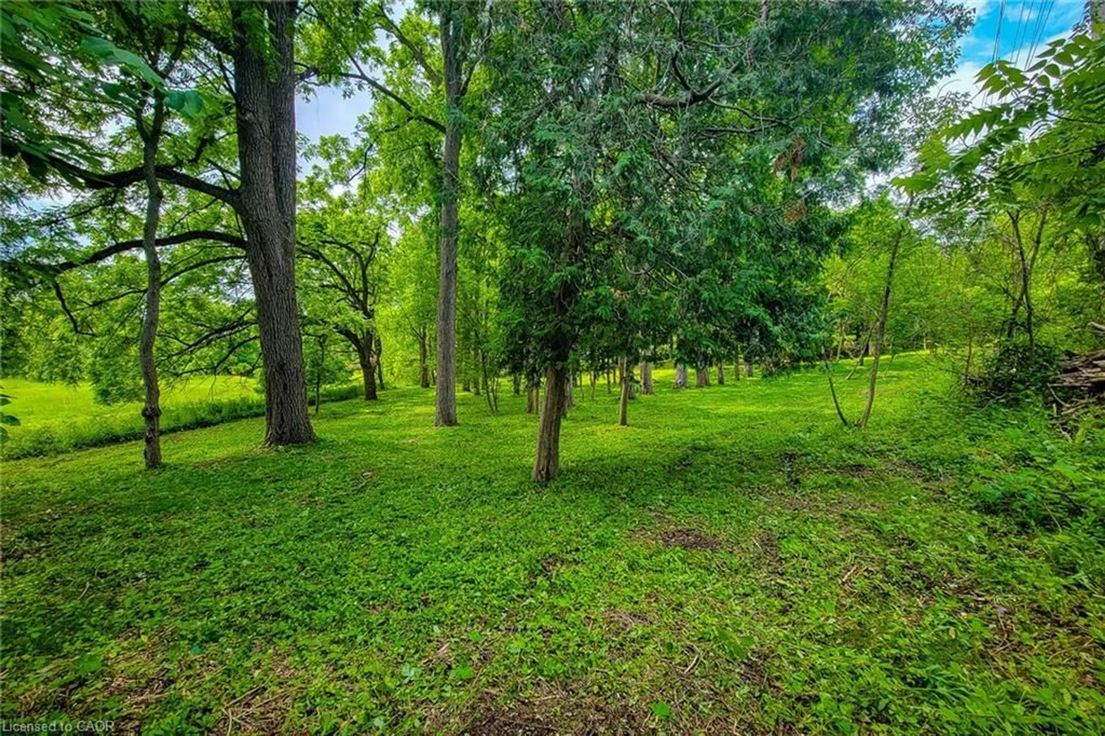 Patio, forest/trees view for 311 Golf Links Rd, Hamilton Ontario L9G 2N6