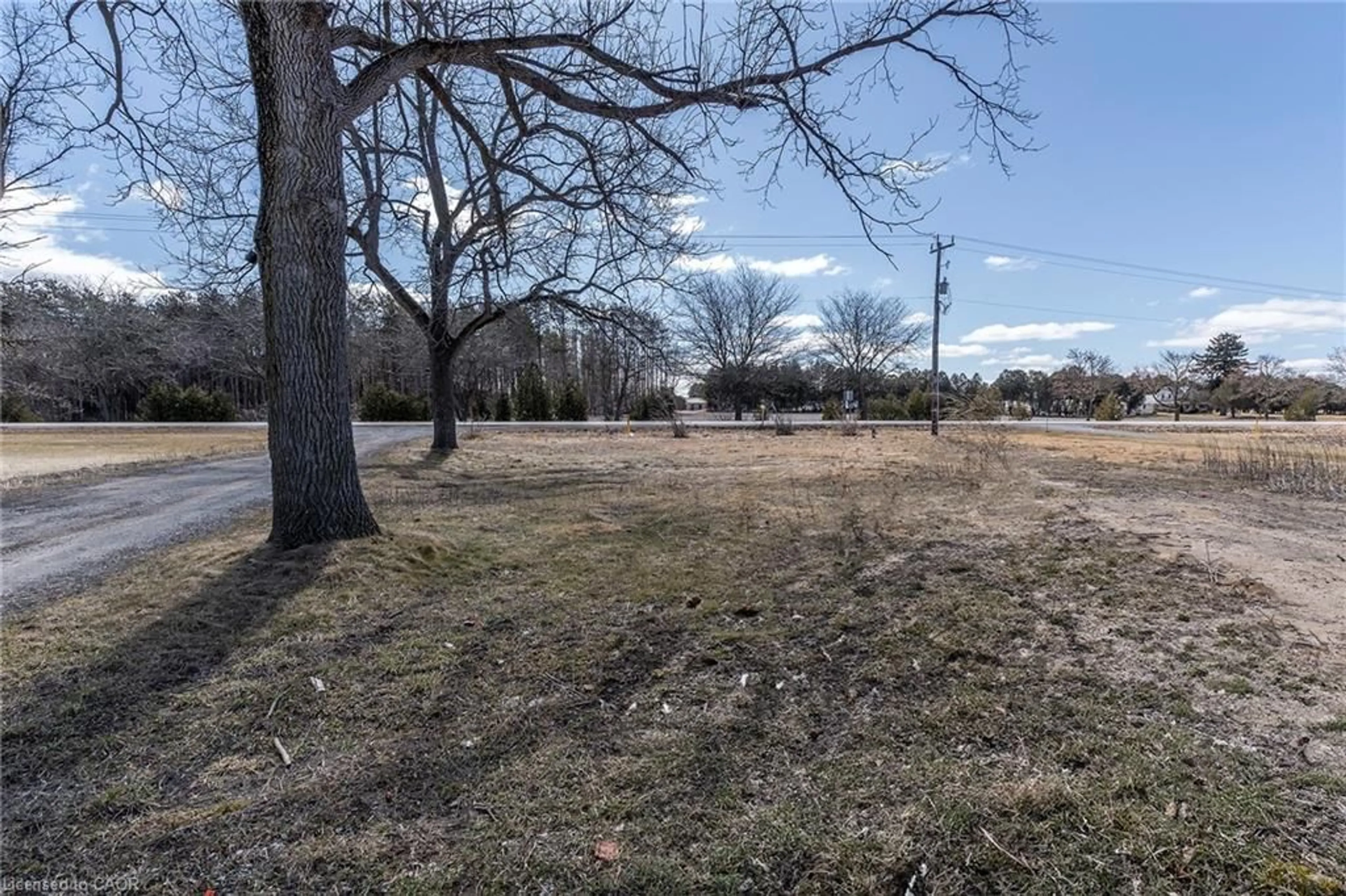 A pic from outside/outdoor area/front of a property/back of a property/a pic from drone, forest/trees view for 131 Highway 6, Simcoe Ontario N3Y 4K2