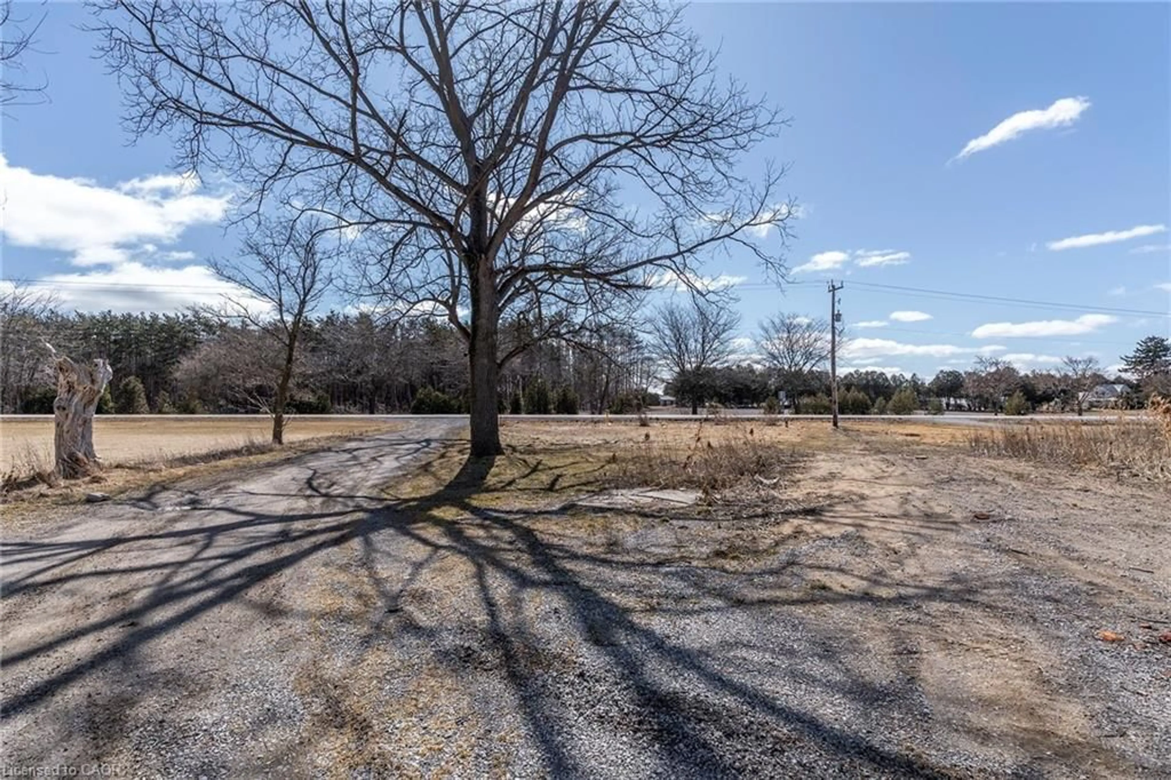 A pic from outside/outdoor area/front of a property/back of a property/a pic from drone, forest/trees view for 131 Highway 6, Simcoe Ontario N3Y 4K2