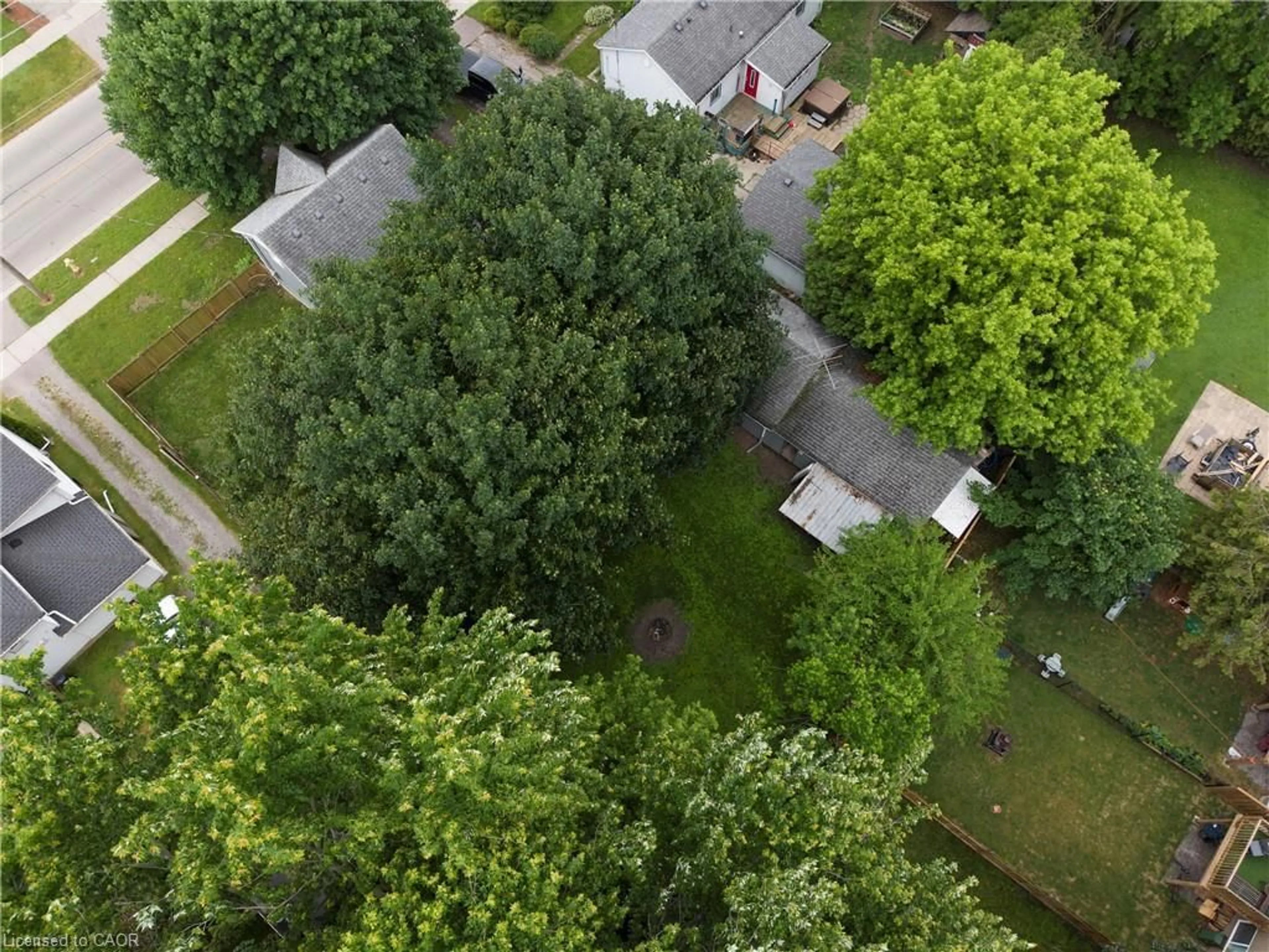 A pic from outside/outdoor area/front of a property/back of a property/a pic from drone, forest/trees view for 97 Mechanic St, Waterford Ontario N0E 1Y0