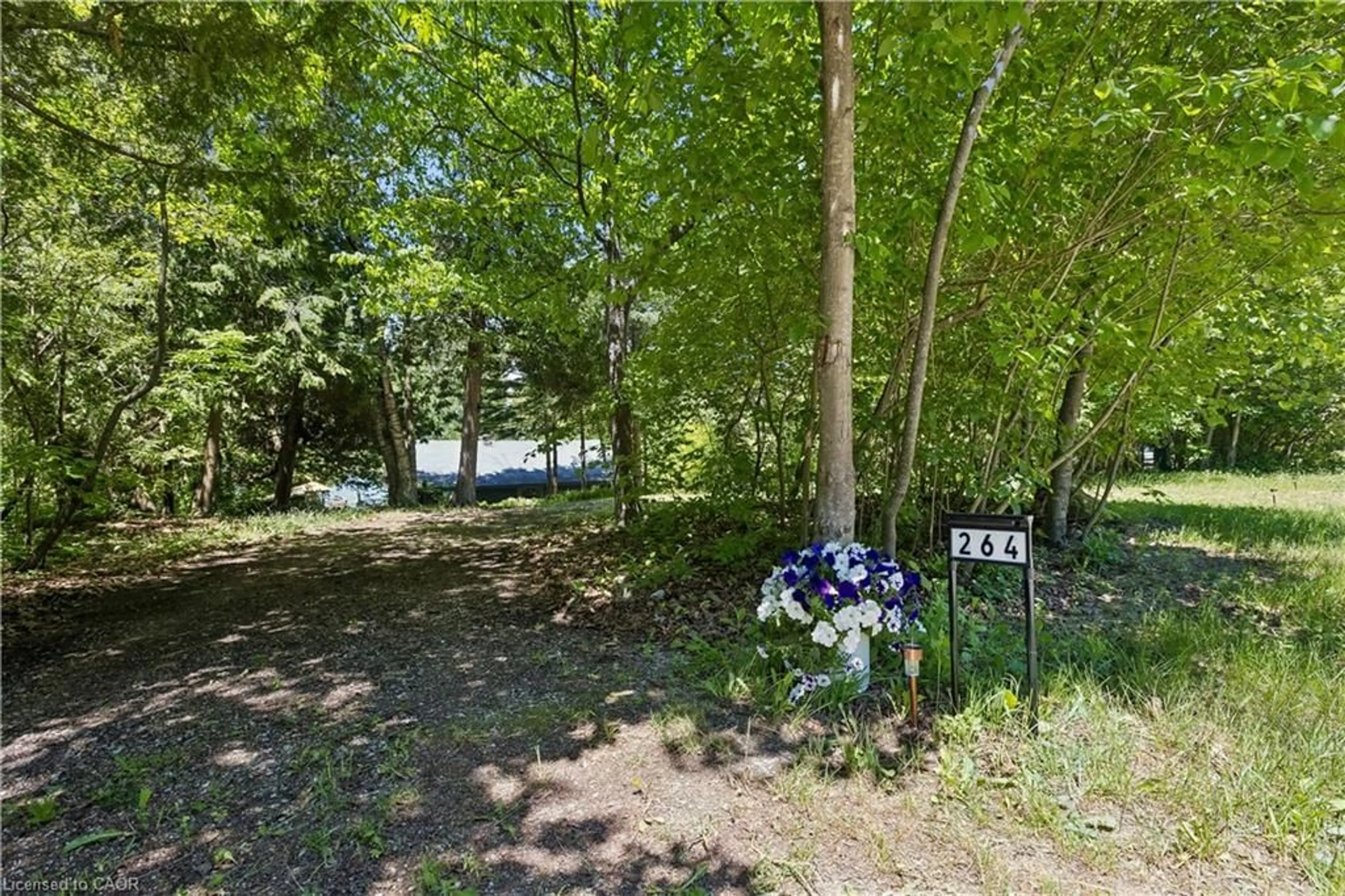 A pic from outside/outdoor area/front of a property/back of a property/a pic from drone, forest/trees view for 264 Blanchfield Rd, Southampton Ontario N0H 2L0