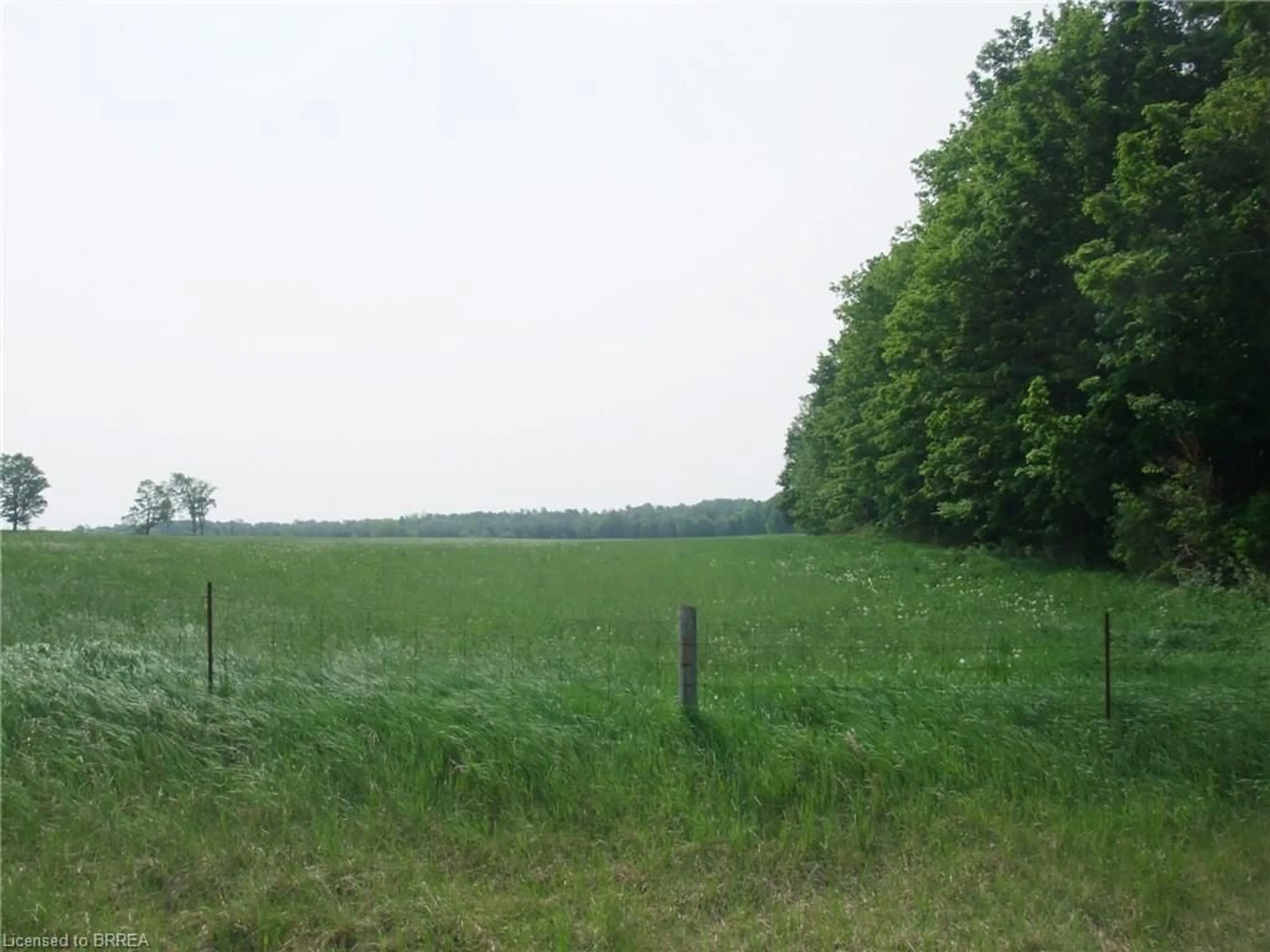 Blurry image for 8949 Wellington Road 22, Erin Ontario N0B 1Z0