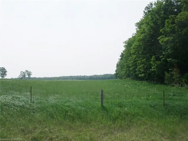 8949 Wellington Road 22, Erin 3