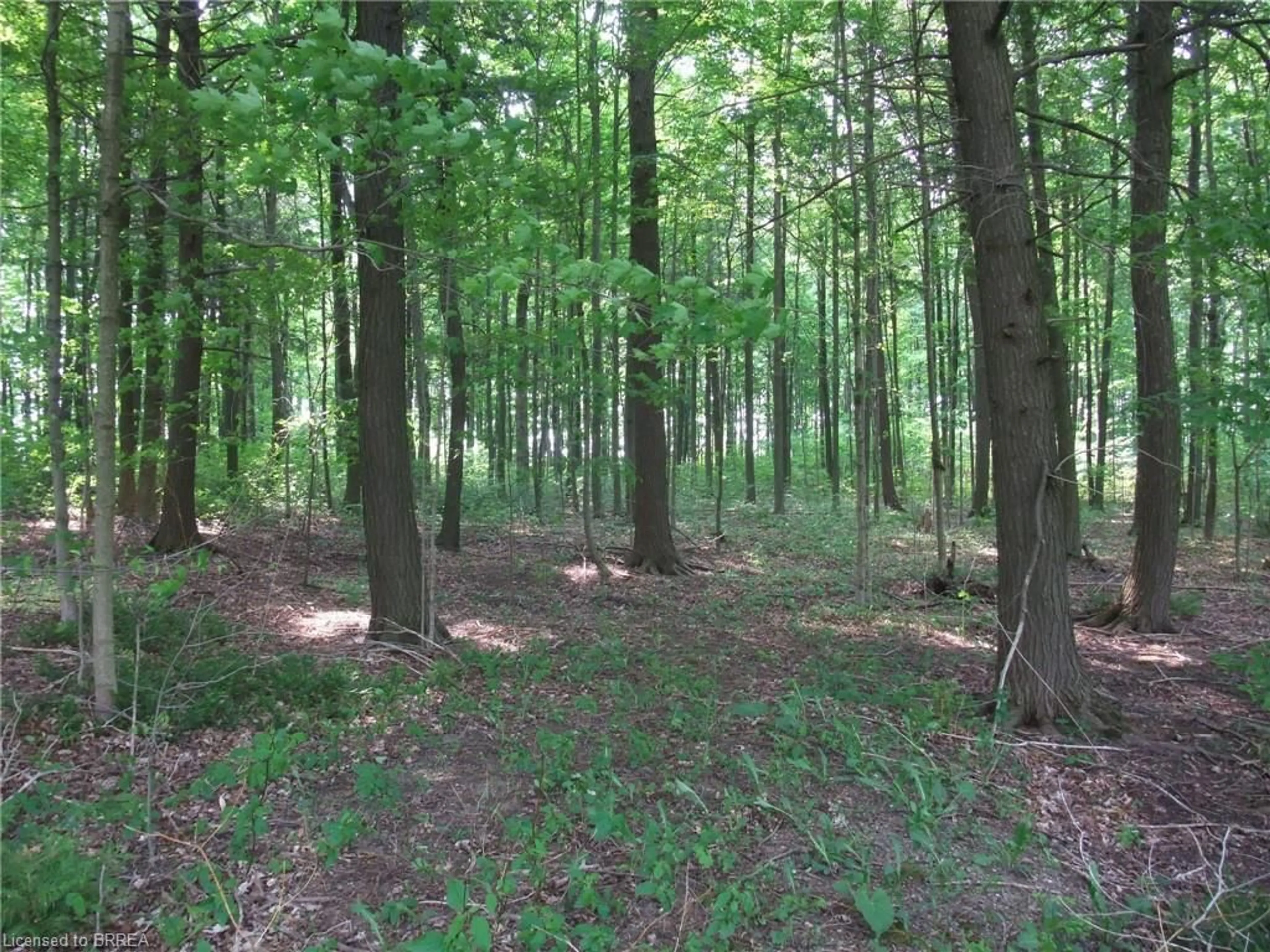 Unknown for 8949 Wellington Road 22, Erin Ontario N0B 1Z0