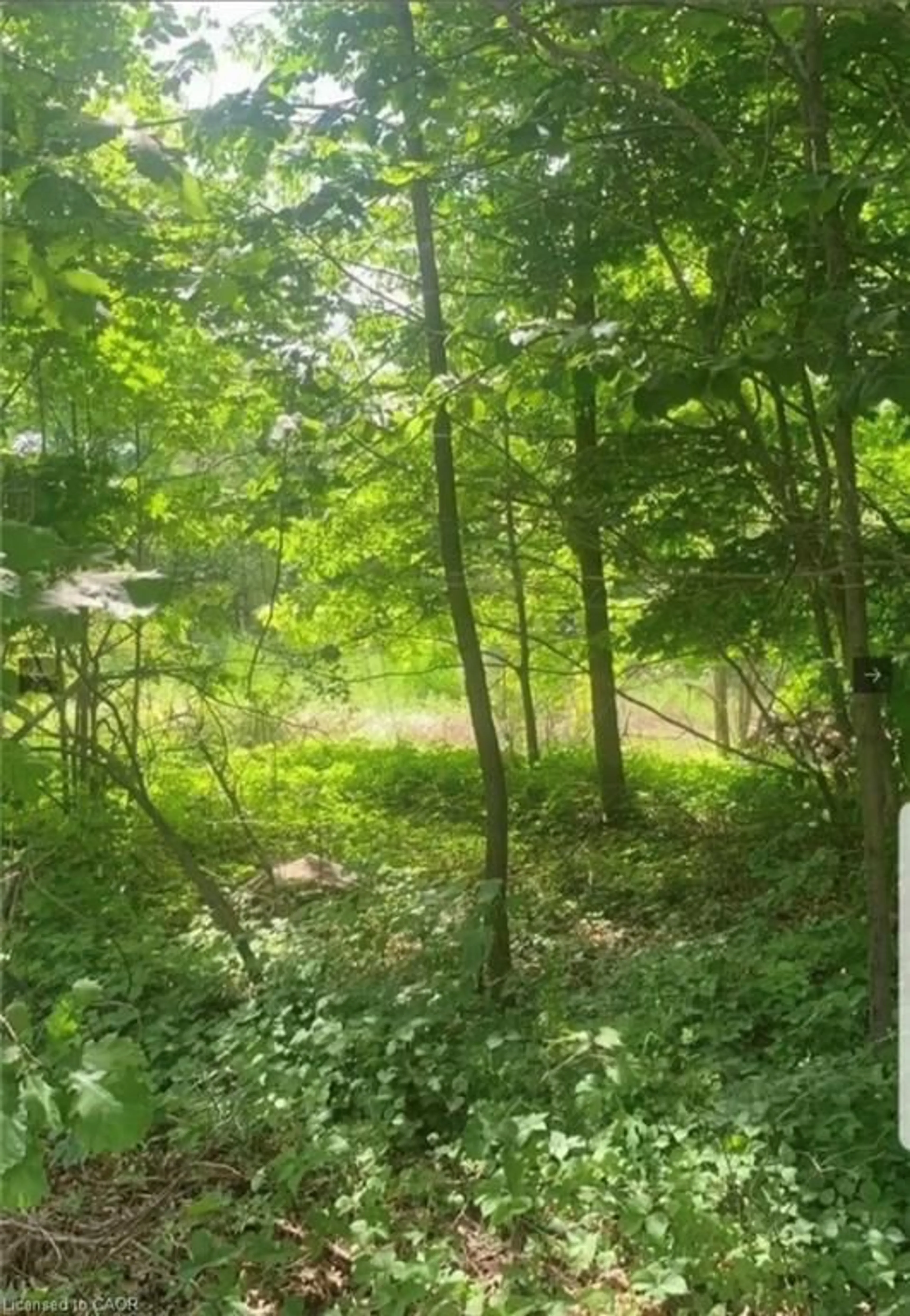 Unknown for LOT 12 Suter Dr, Kawartha Lakes Ontario K0M 1B0