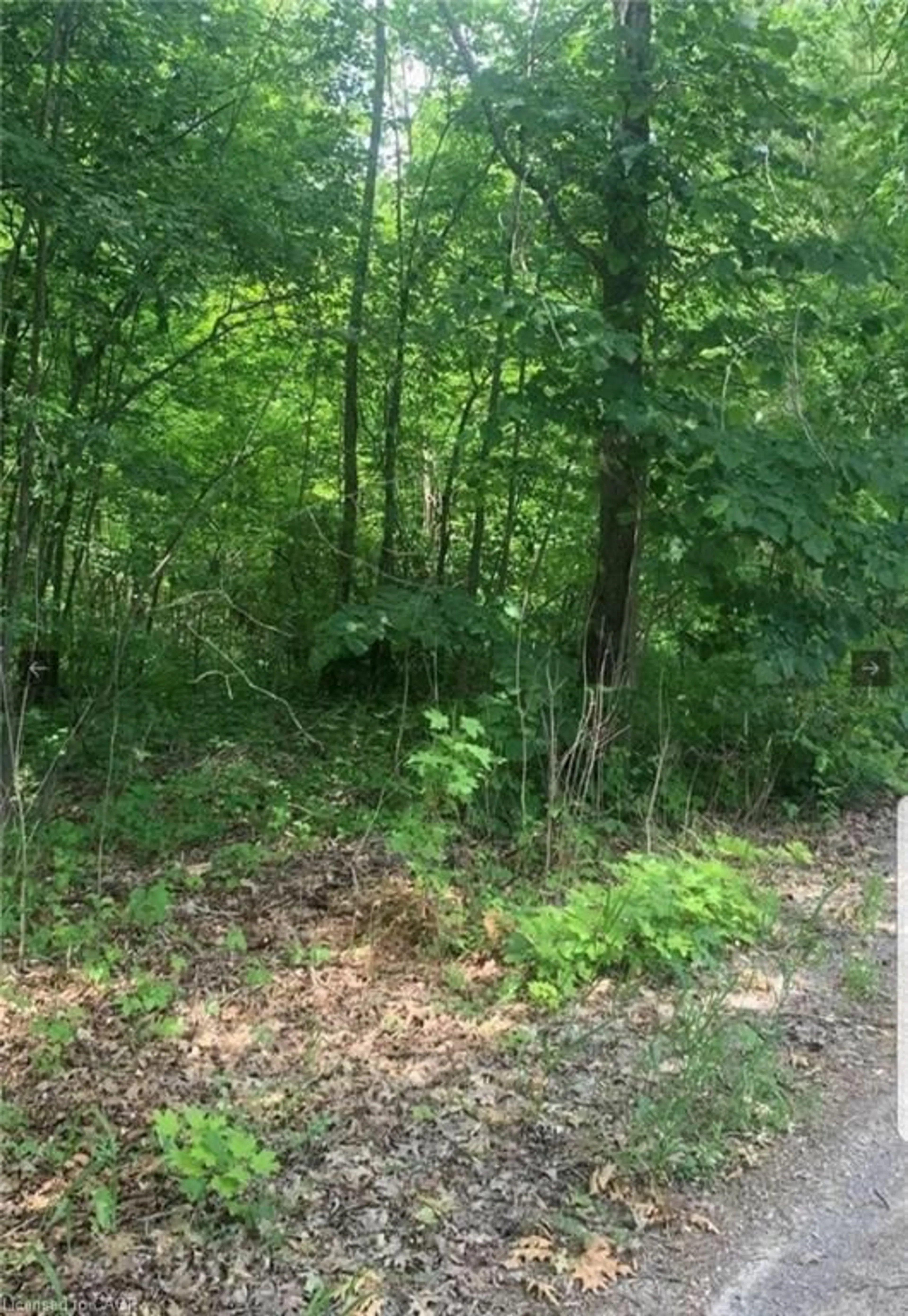 Blurry image for LOT 12 Suter Dr, Kawartha Lakes Ontario K0M 1B0