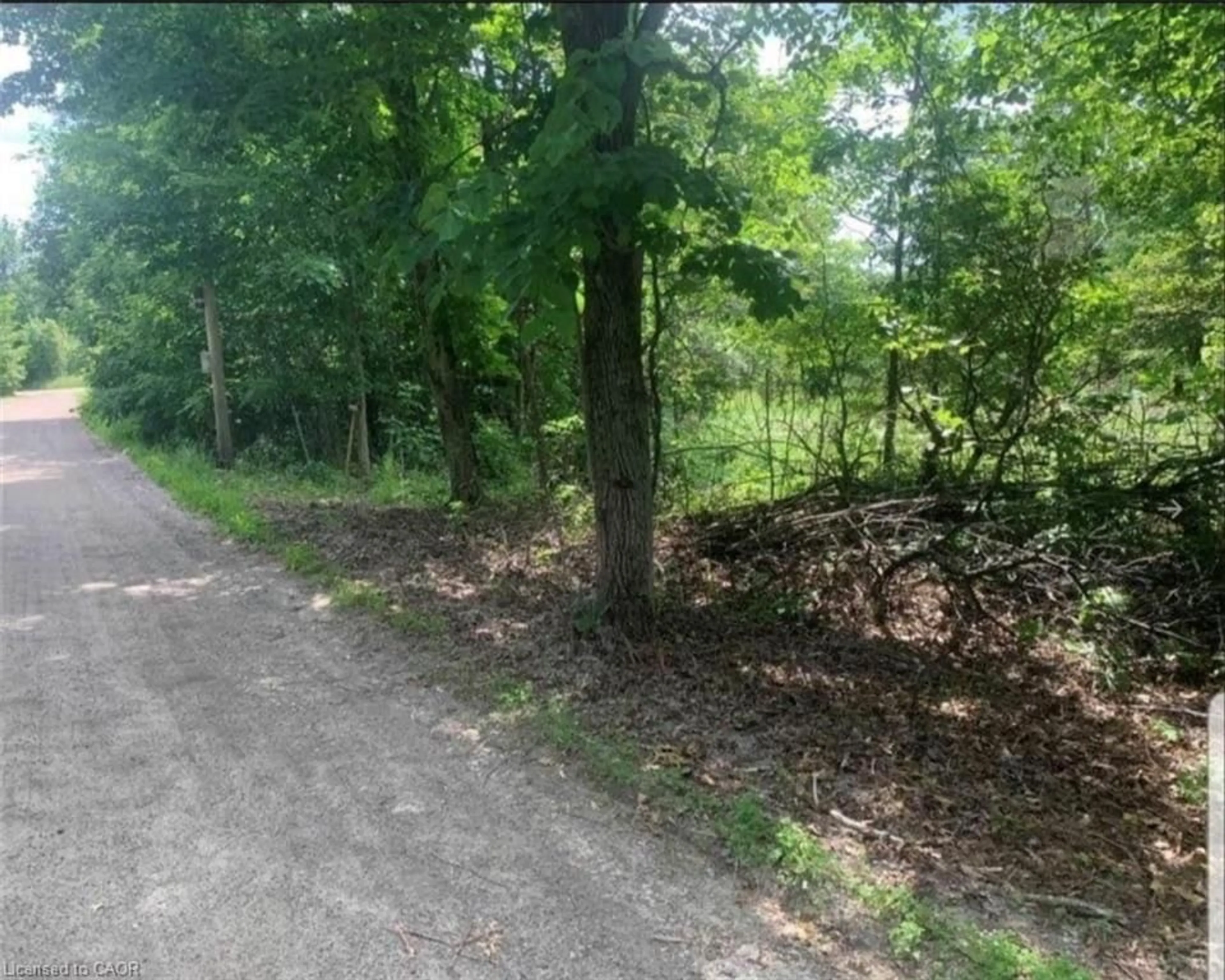 A pic from outside/outdoor area/front of a property/back of a property/a pic from drone, forest/trees view for LOT 12 Suter Dr, Kawartha Lakes Ontario K0M 1B0
