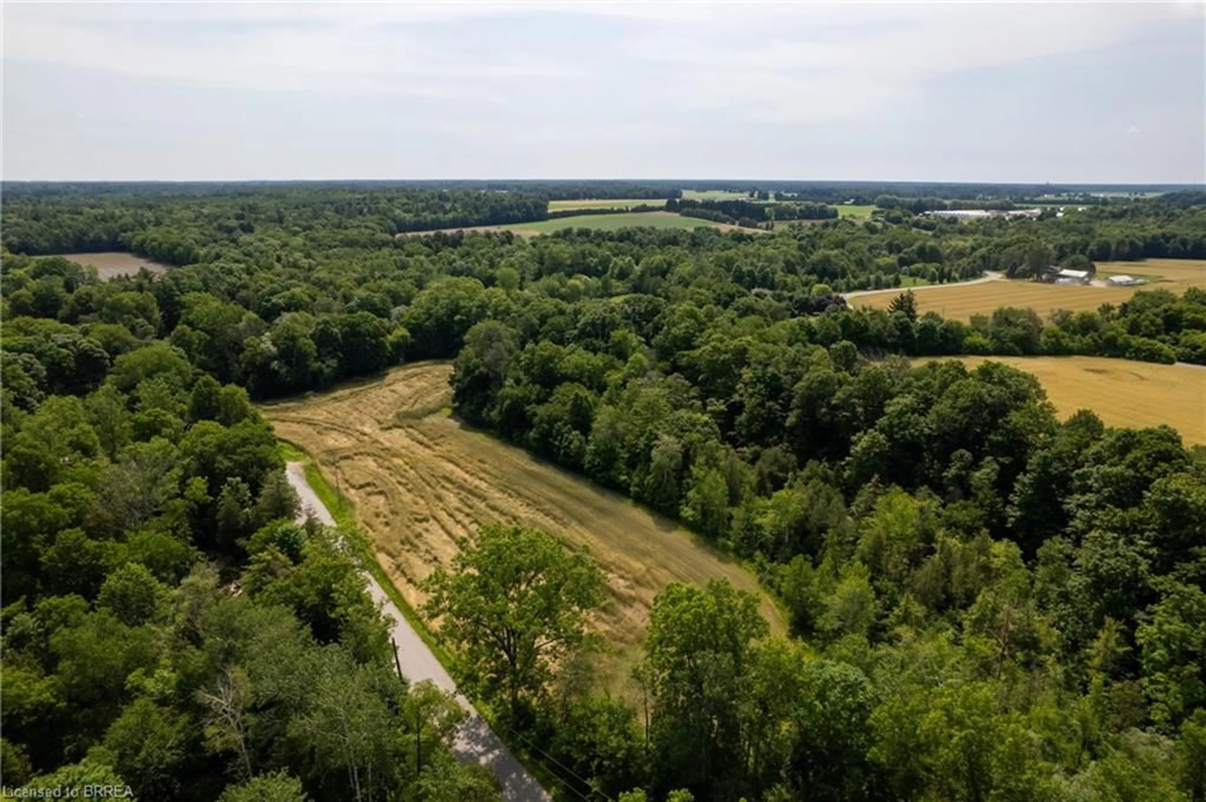 A pic from outside/outdoor area/front of a property/back of a property/a pic from drone, forest/trees view for 1632 Windham Road 19, Norfolk Ontario N0E 1H0