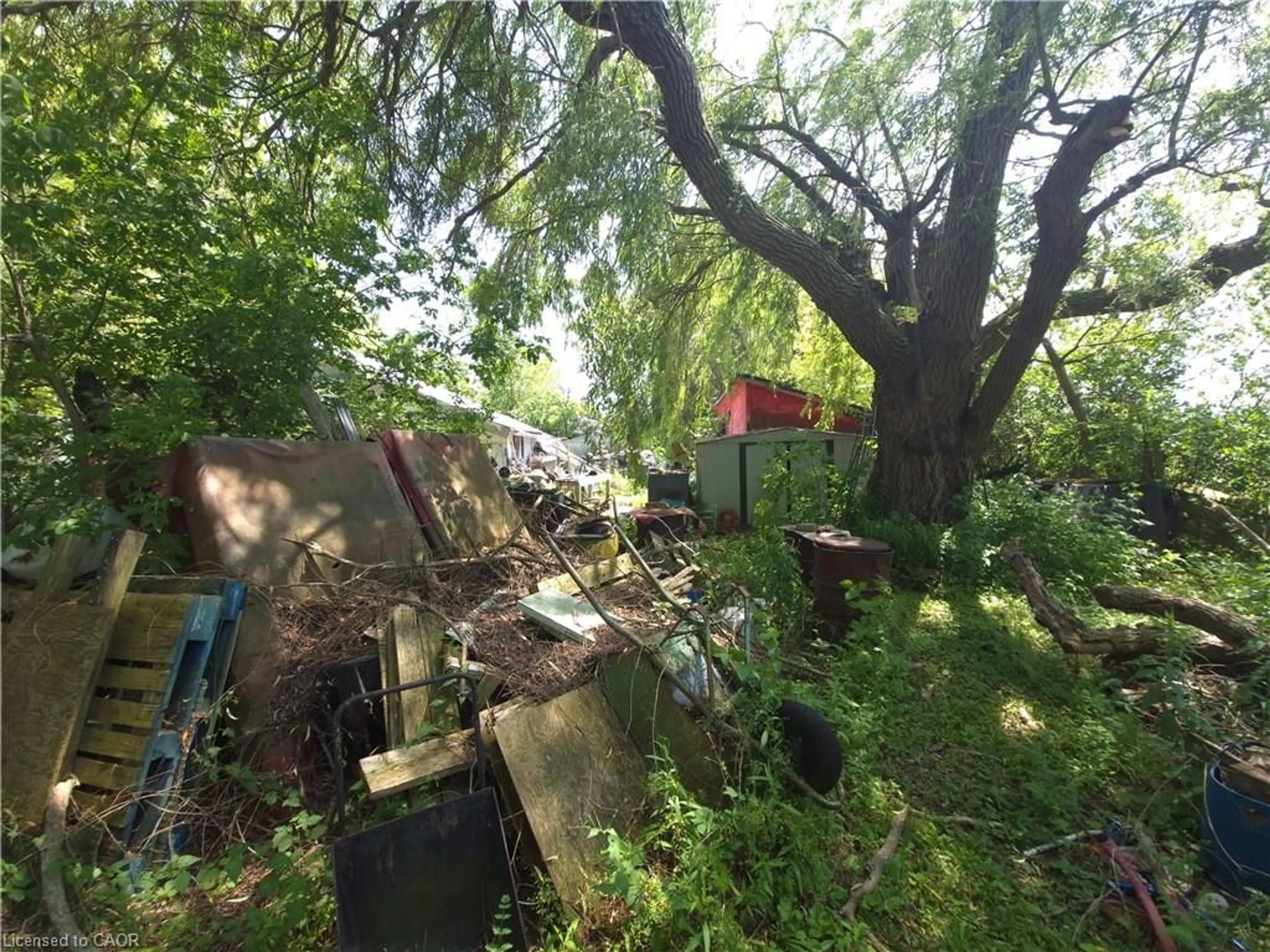 Shed for 14 Lyons Rd, Lowbanks Ontario N0A 1K0