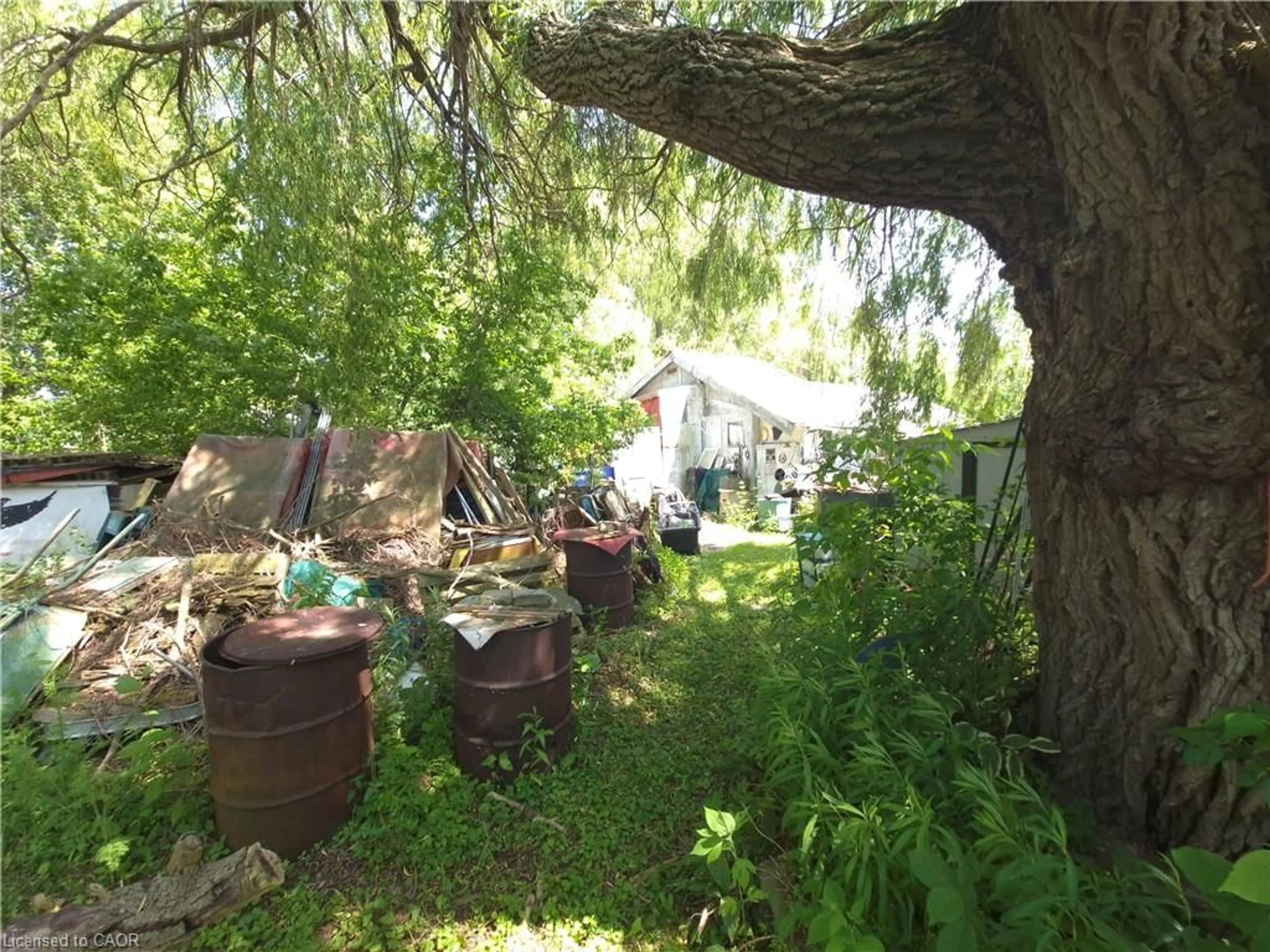 Patio, forest/trees view for 14 Lyons Rd, Lowbanks Ontario N0A 1K0