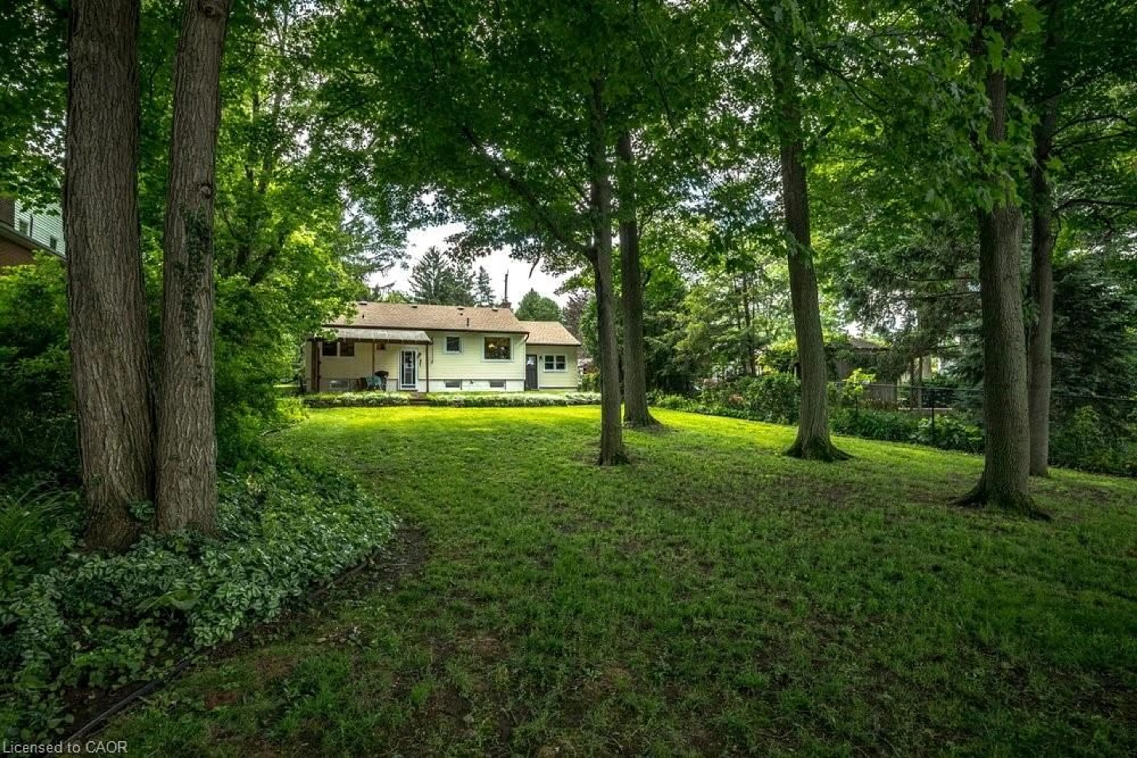 A pic from outside/outdoor area/front of a property/back of a property/a pic from drone, forest/trees view for 803 Montgomery Dr, Ancaster Ontario L9G 3H6