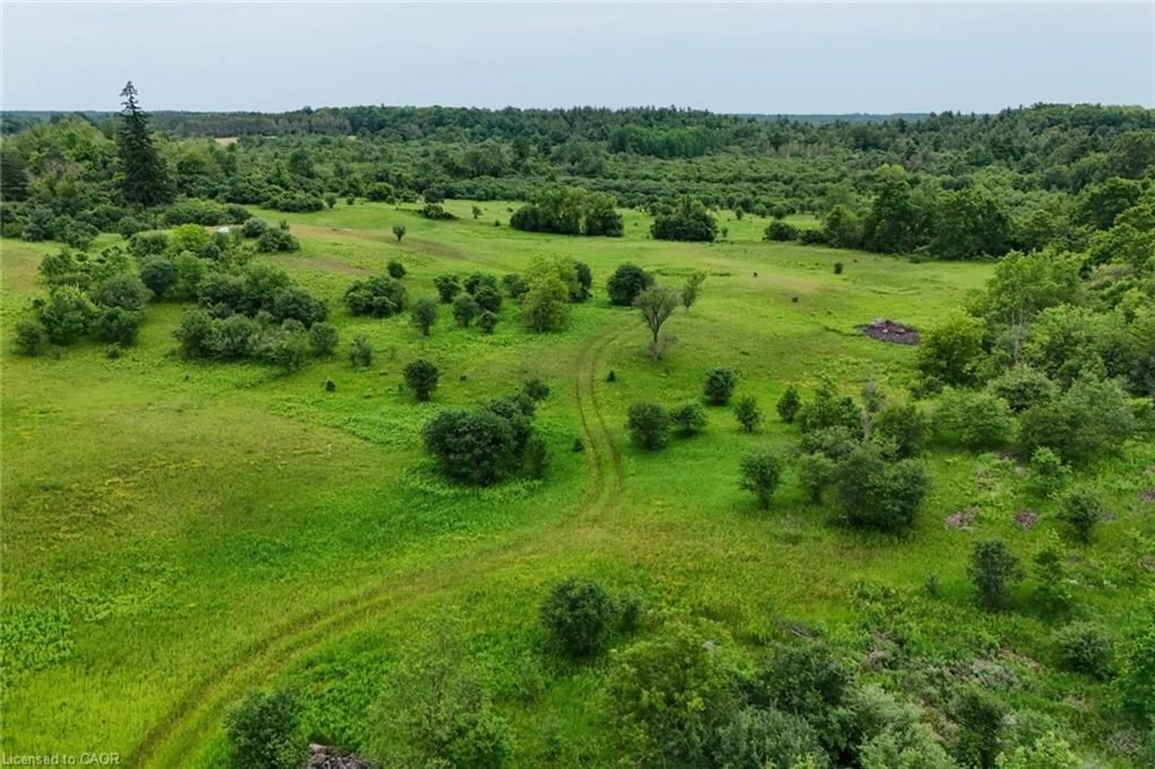 A pic from outside/outdoor area/front of a property/back of a property/a pic from drone, forest/trees view for 6663 Concession 2 Conc, Cambridge Ontario N3C 2V4