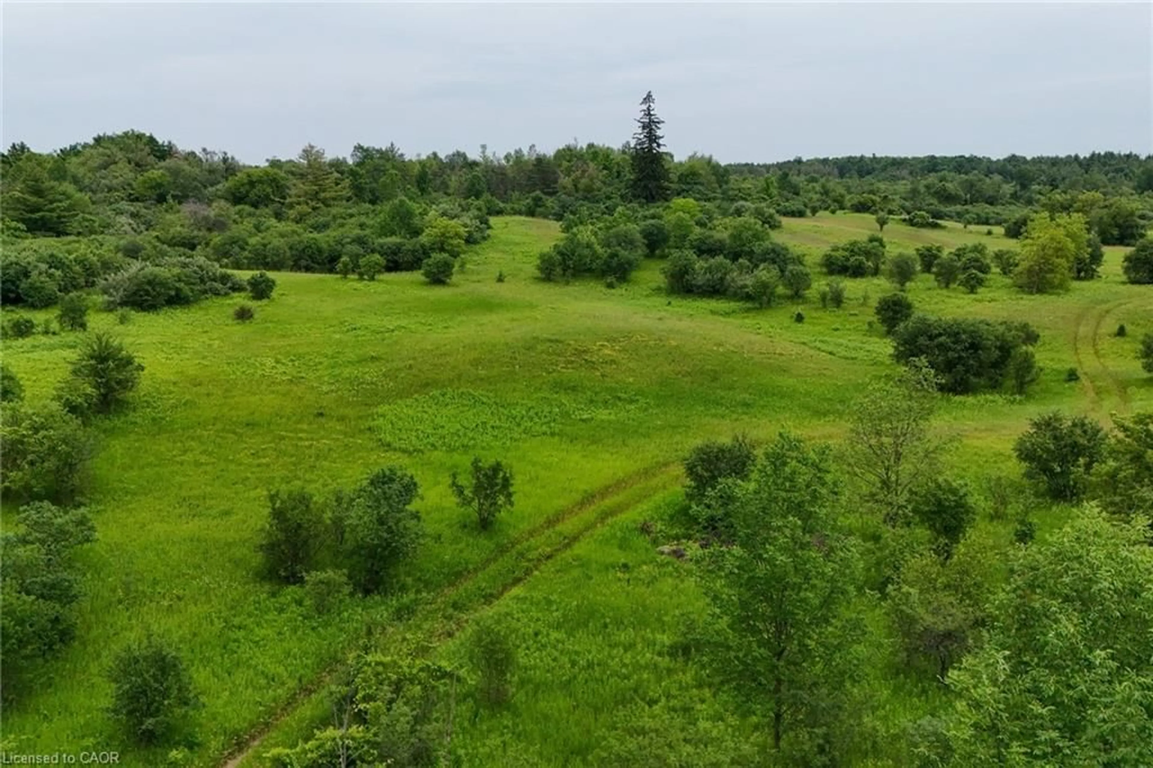 A pic from outside/outdoor area/front of a property/back of a property/a pic from drone, forest/trees view for 6663 Concession 2 Conc, Cambridge Ontario N3C 2V4