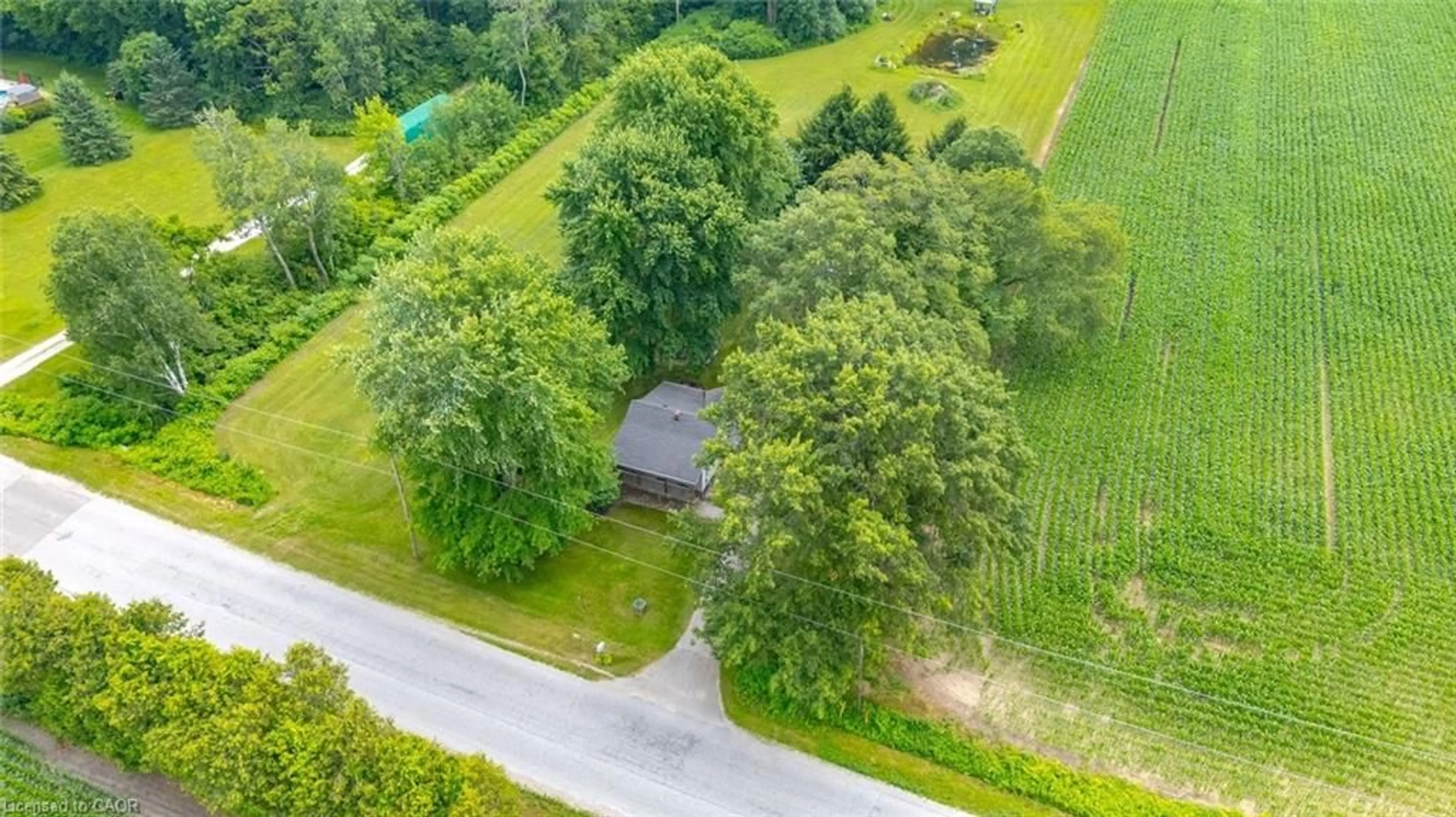 A pic from outside/outdoor area/front of a property/back of a property/a pic from drone, forest/trees view for 100 Windham Rd 14, Norfolk Ontario N3Y 4K6