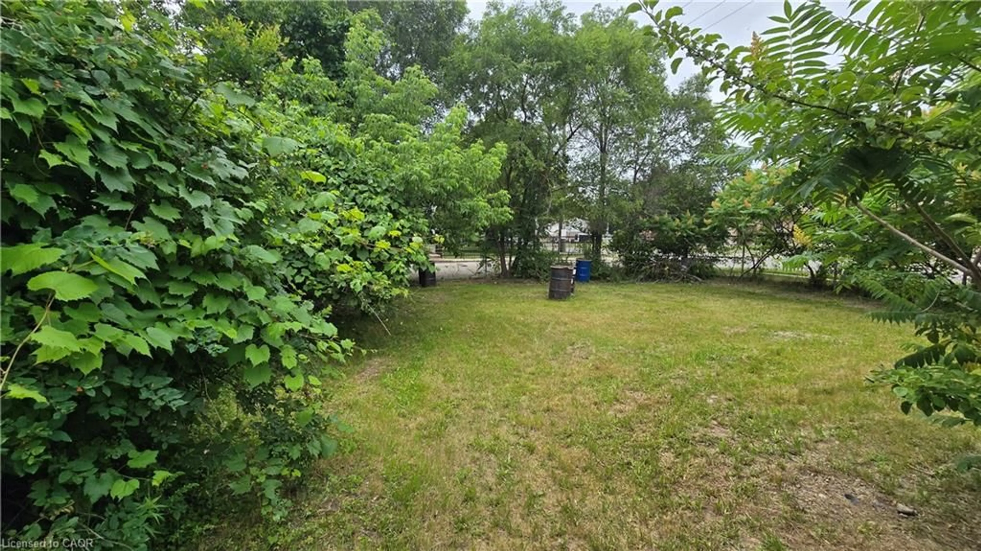 A pic from outside/outdoor area/front of a property/back of a property/a pic from drone, forest/trees view for 1504 Concession Rd, Cambridge Ontario N3H 4L9