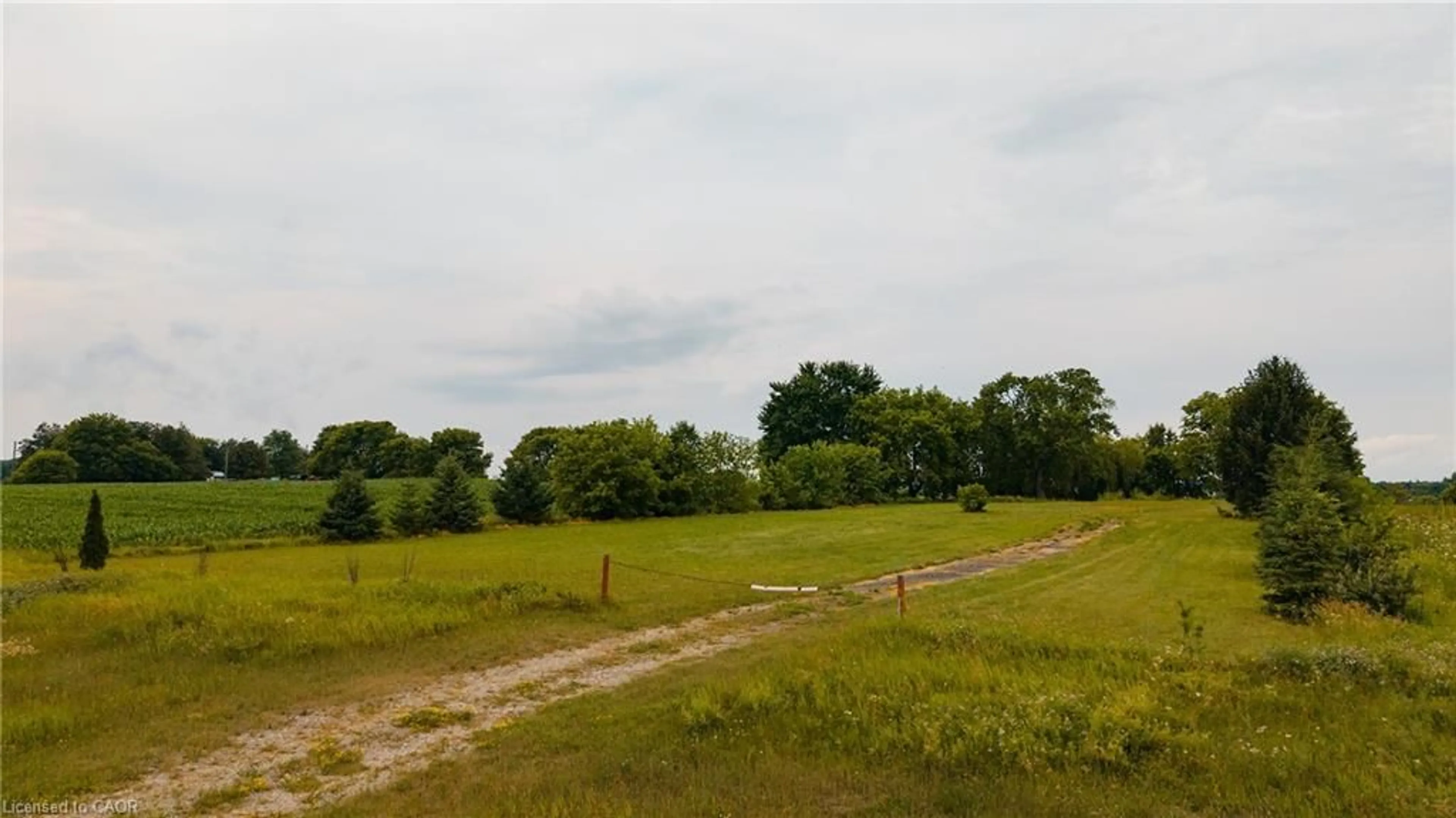 A pic from outside/outdoor area/front of a property/back of a property/a pic from drone, forest/trees view for 1532 Gingerich Rd, Baden Ontario N3A 3J7